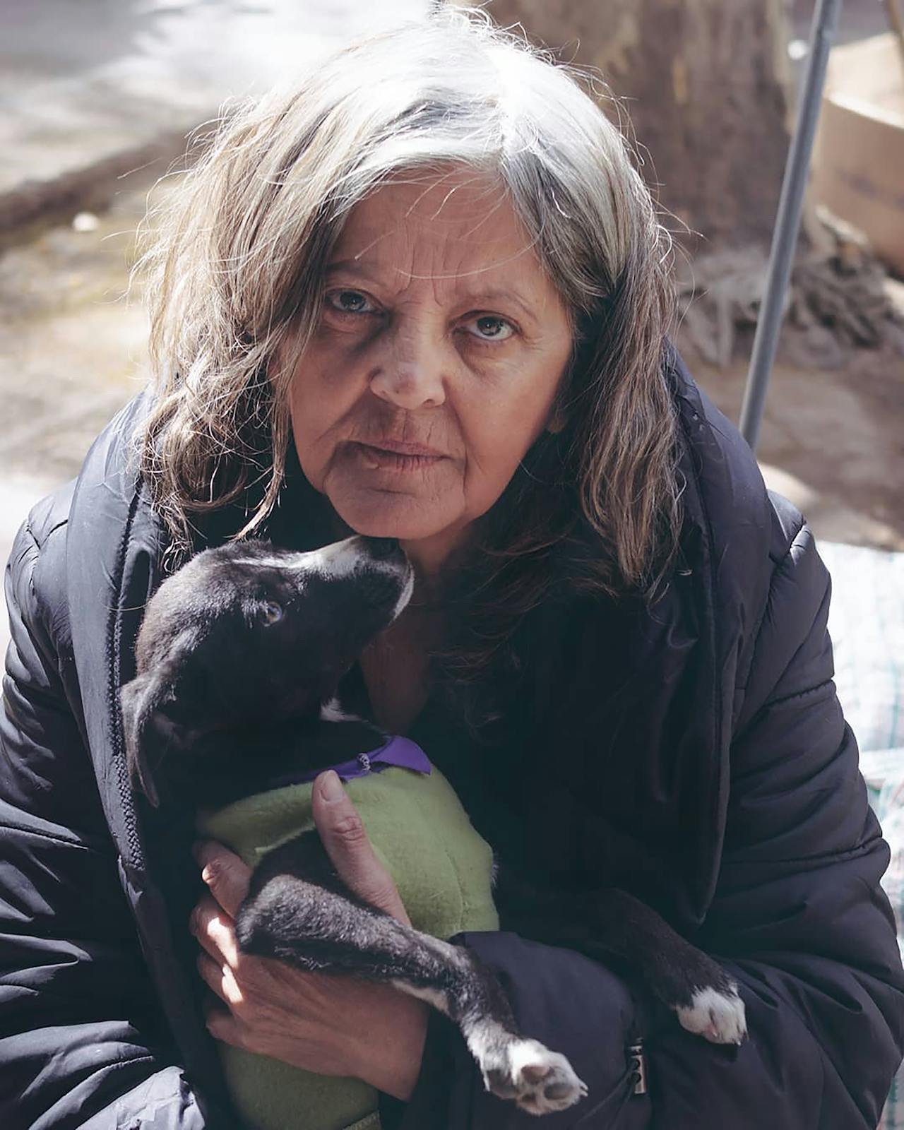 An elderly woman carrying an adorable dog | Source: Pexels