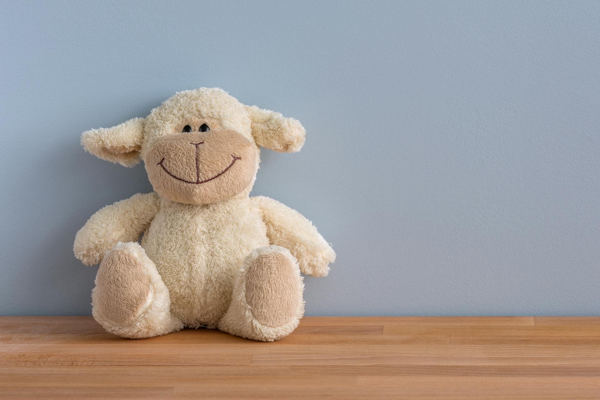 A white sheep plush toy | Source: Pexels