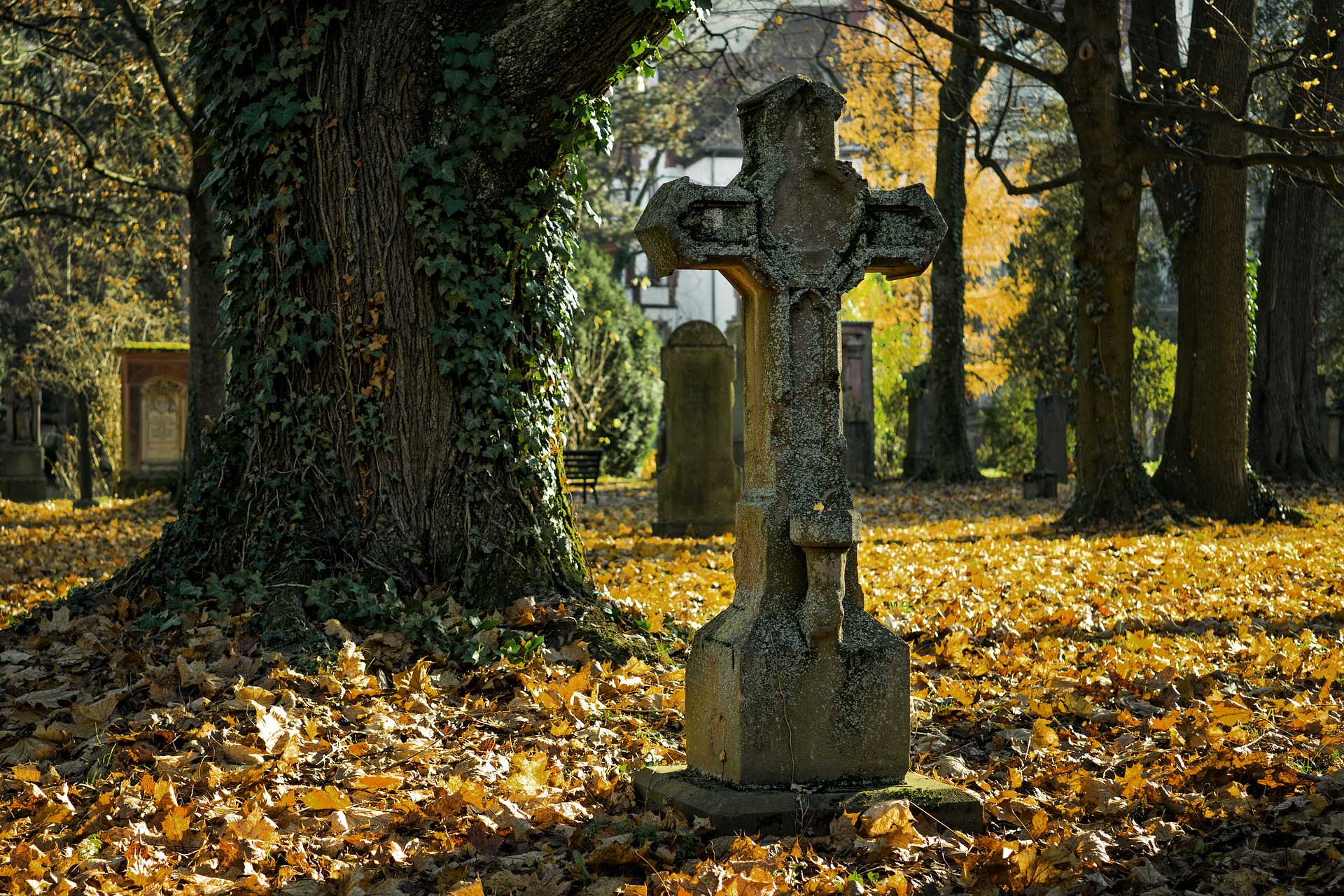 Una tumba en un cementerio | Fuente: Pixabay