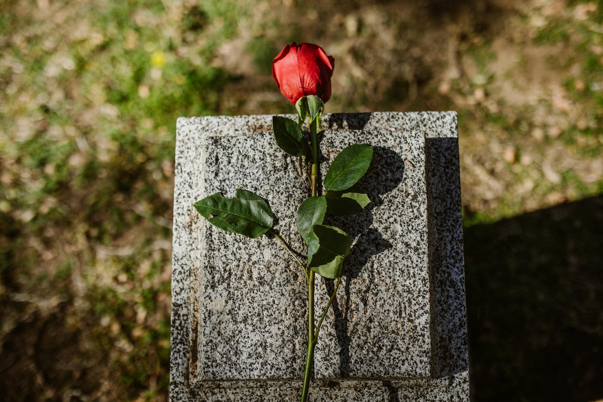 A flower on a tombstone | Source: Pexels