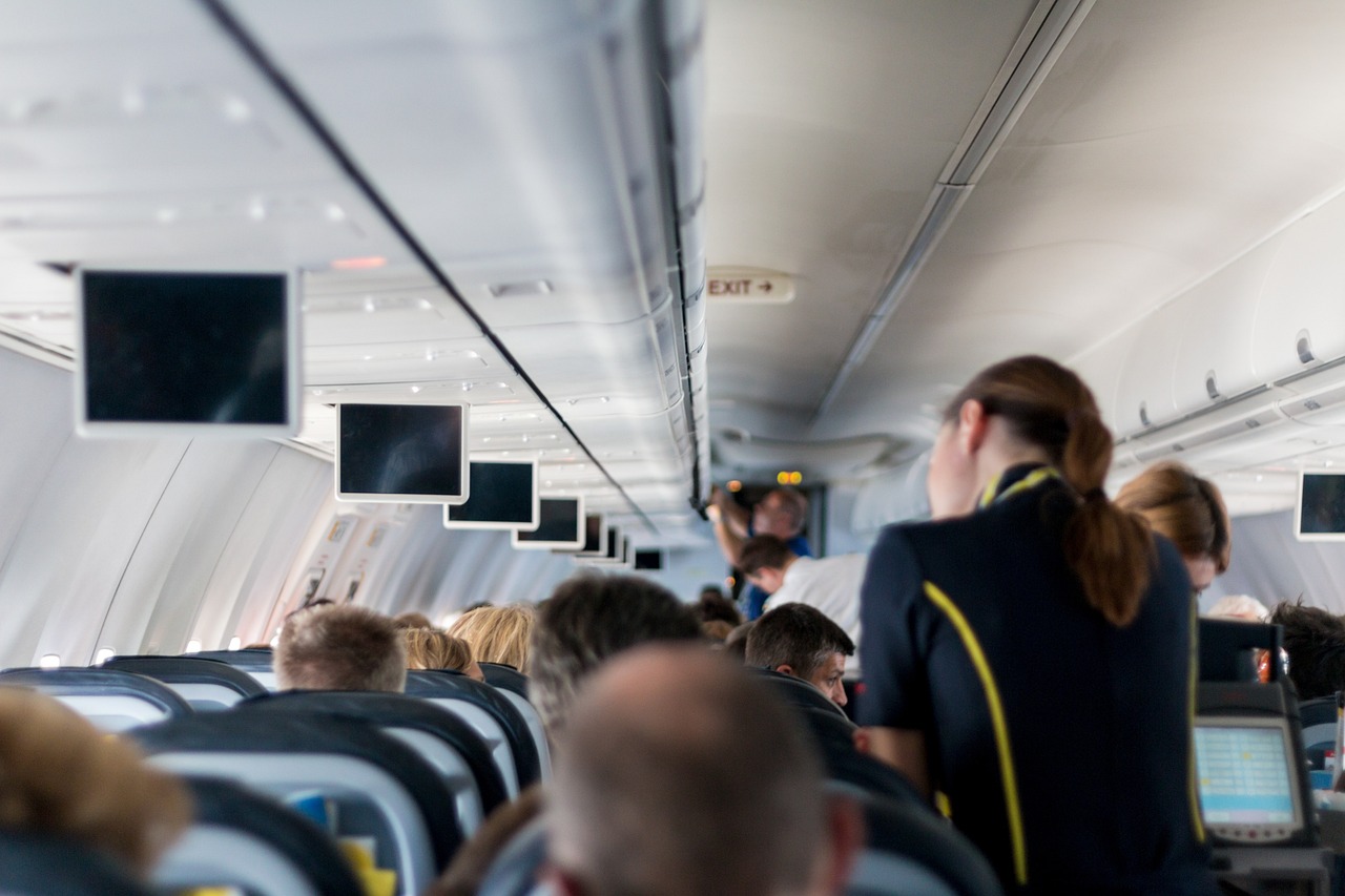 Rear view of a flight attendant talking to somebody in an airplane | Source: Pixabay