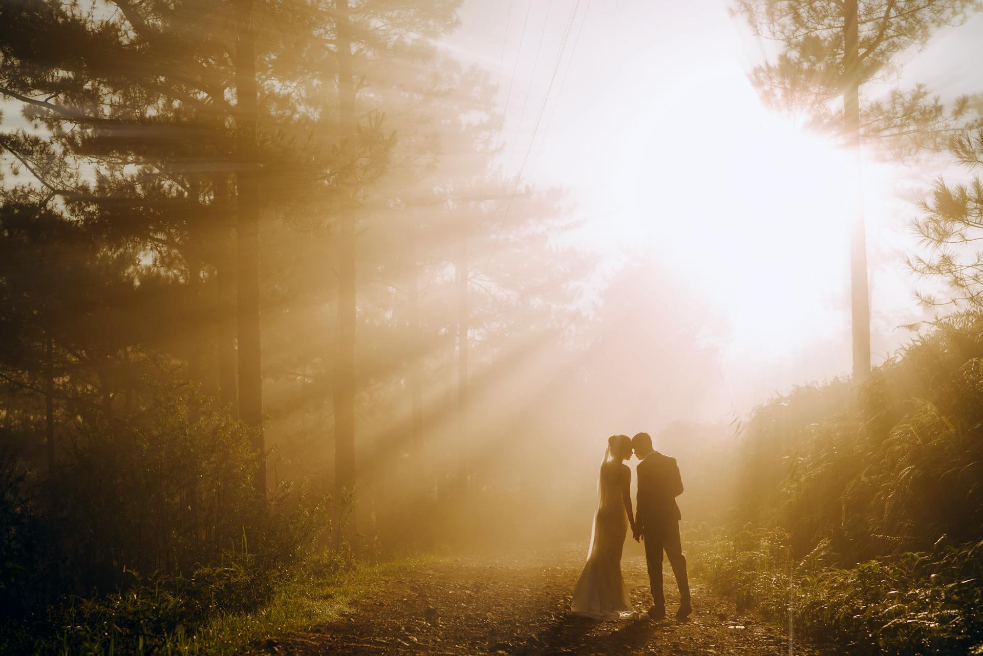 A bride and groom standing on a road in a forest with sun rays shining through the trees | Source: Pexels