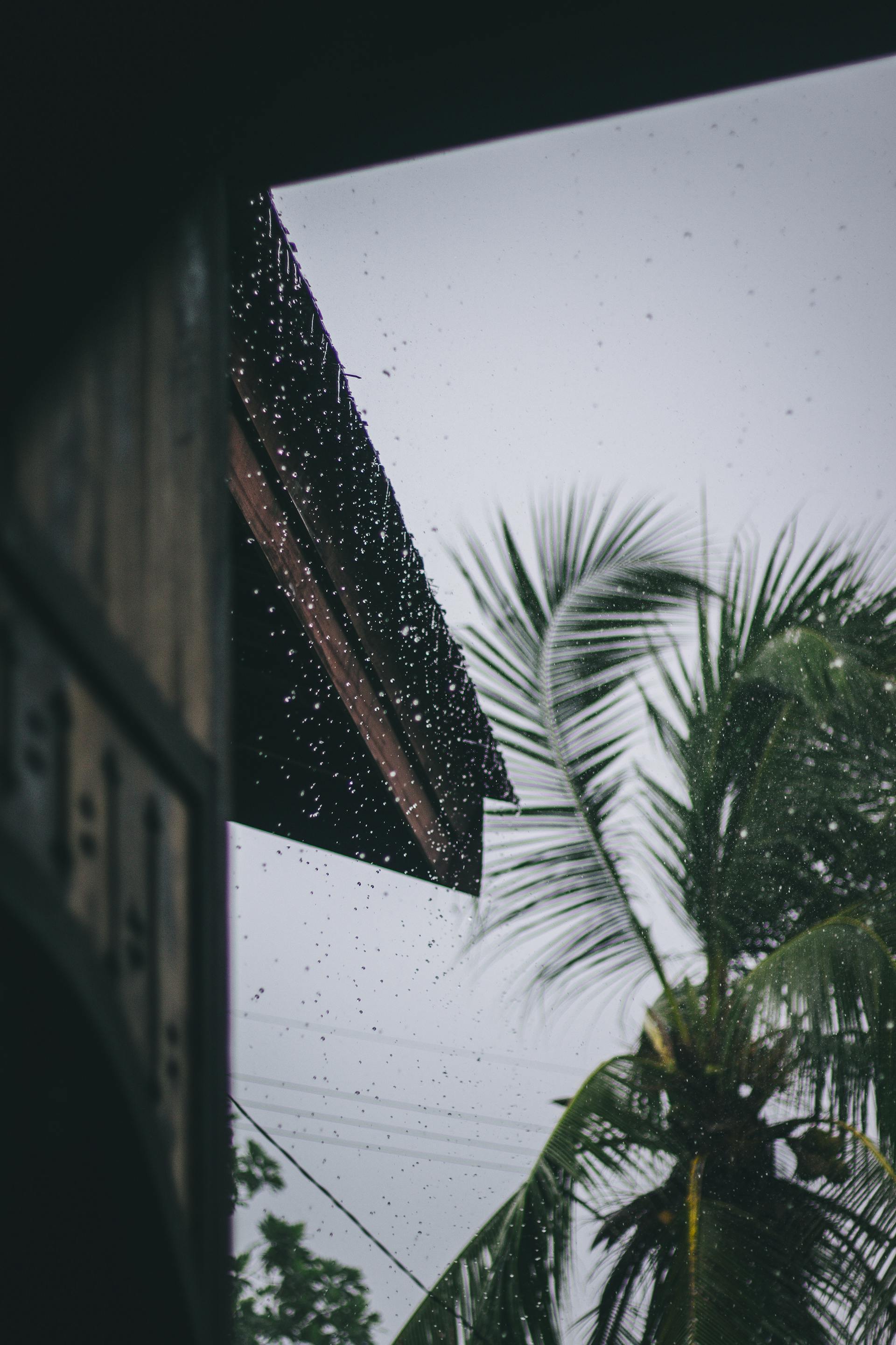 Rain falling outside a house | Source: Pexels