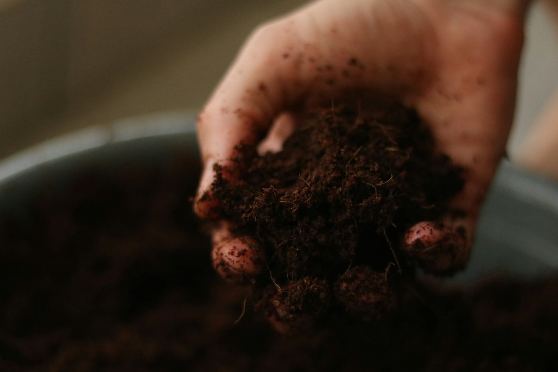 A person adding soil to a pot | Source: Unsplash