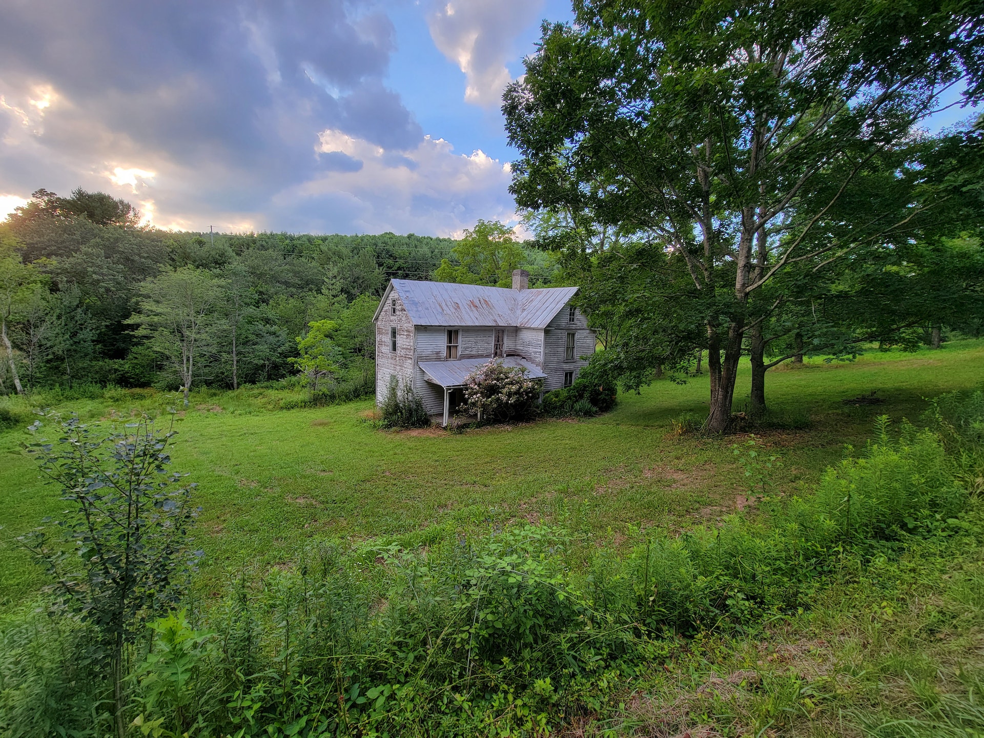 A small house between trees | Source: Pexels