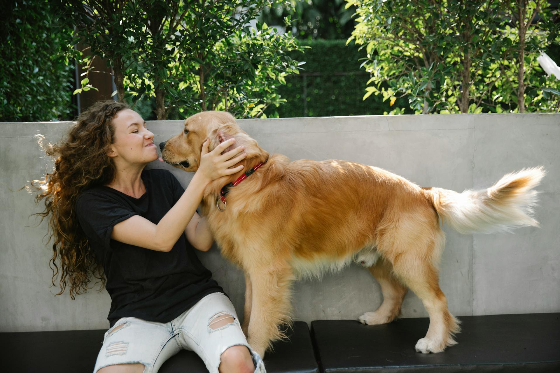 A woman pampering a Golden Retriever | Source: Pexels