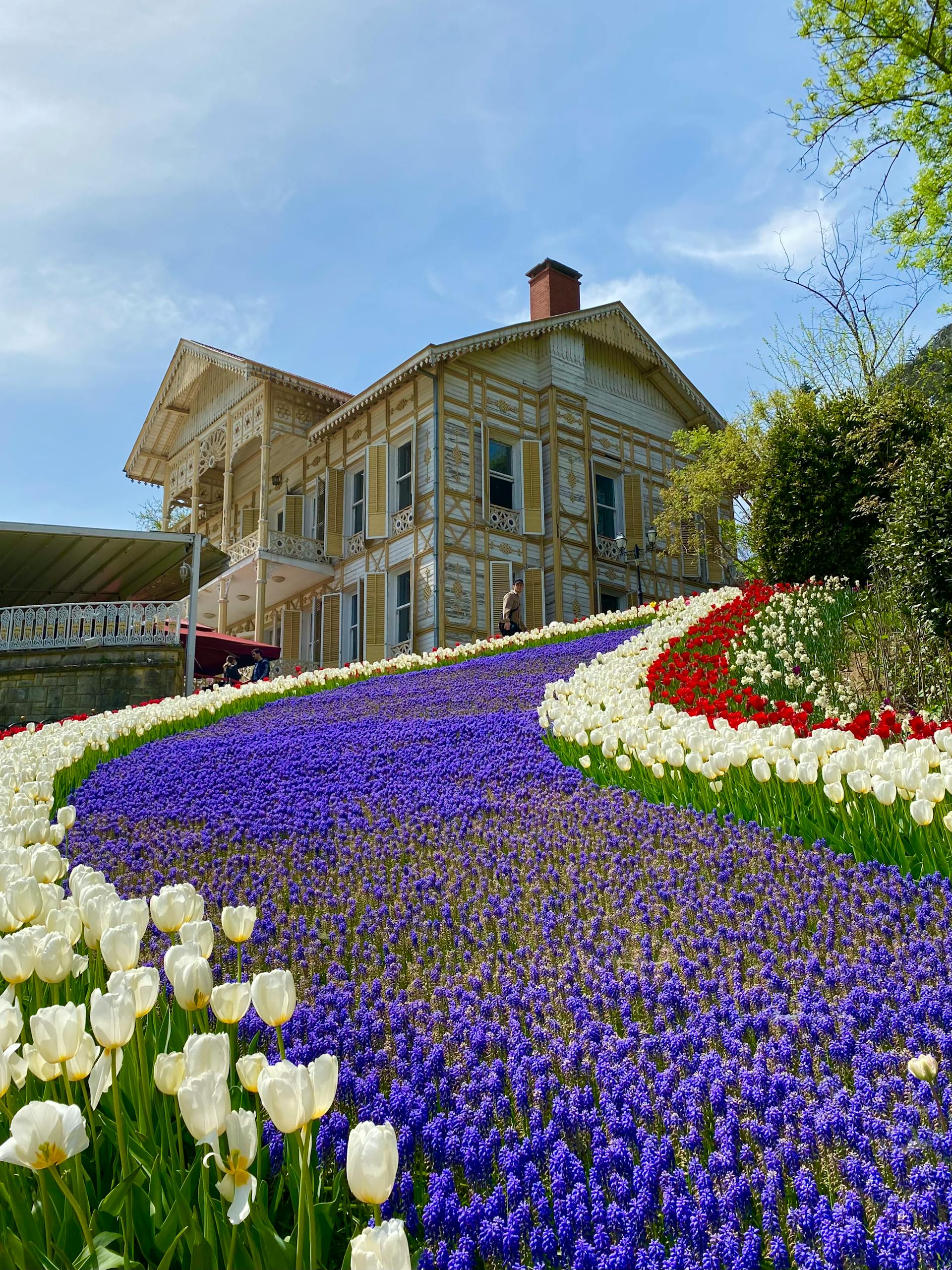 A house's beautiful landscaped garden | Source: Pexels