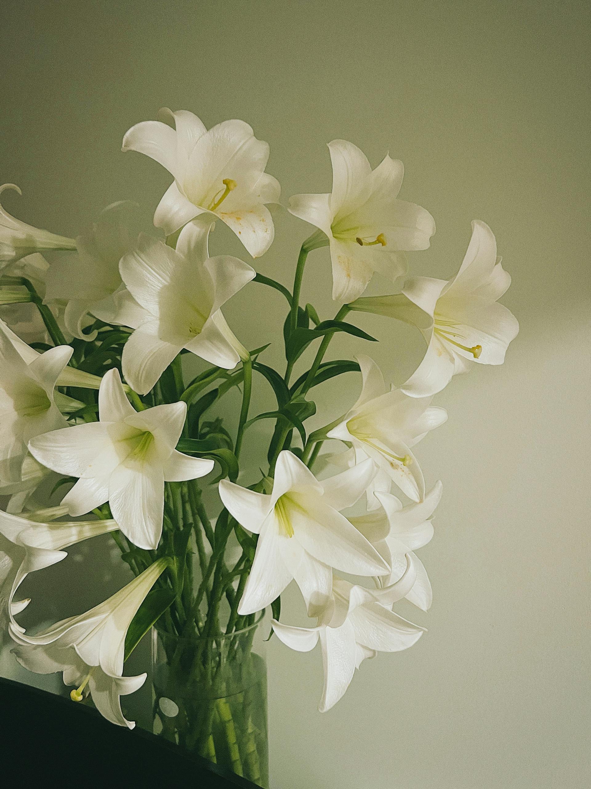 A bouquet of lilies | Source: Pexels