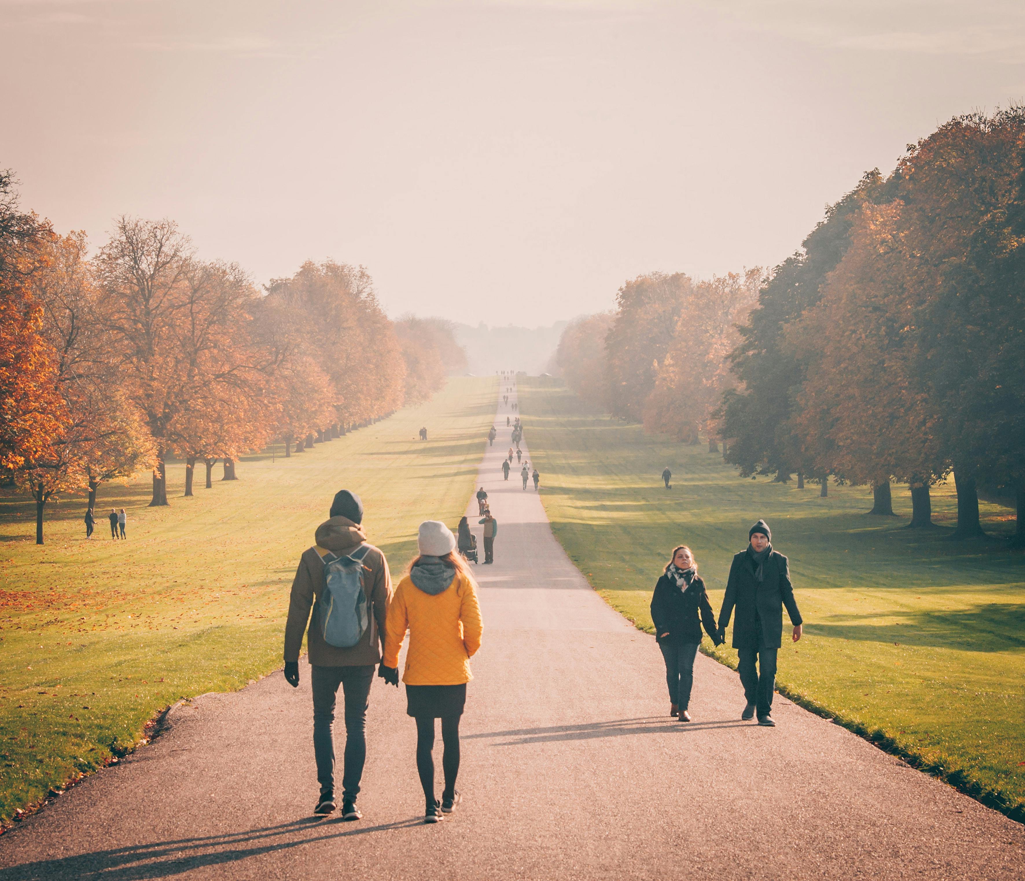 Promenades dans un parc | Source : Pexels