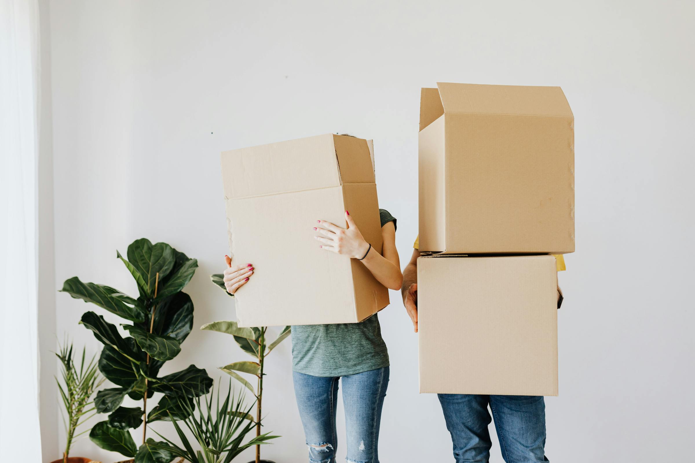 Two people moving boxes | Source: Pexels