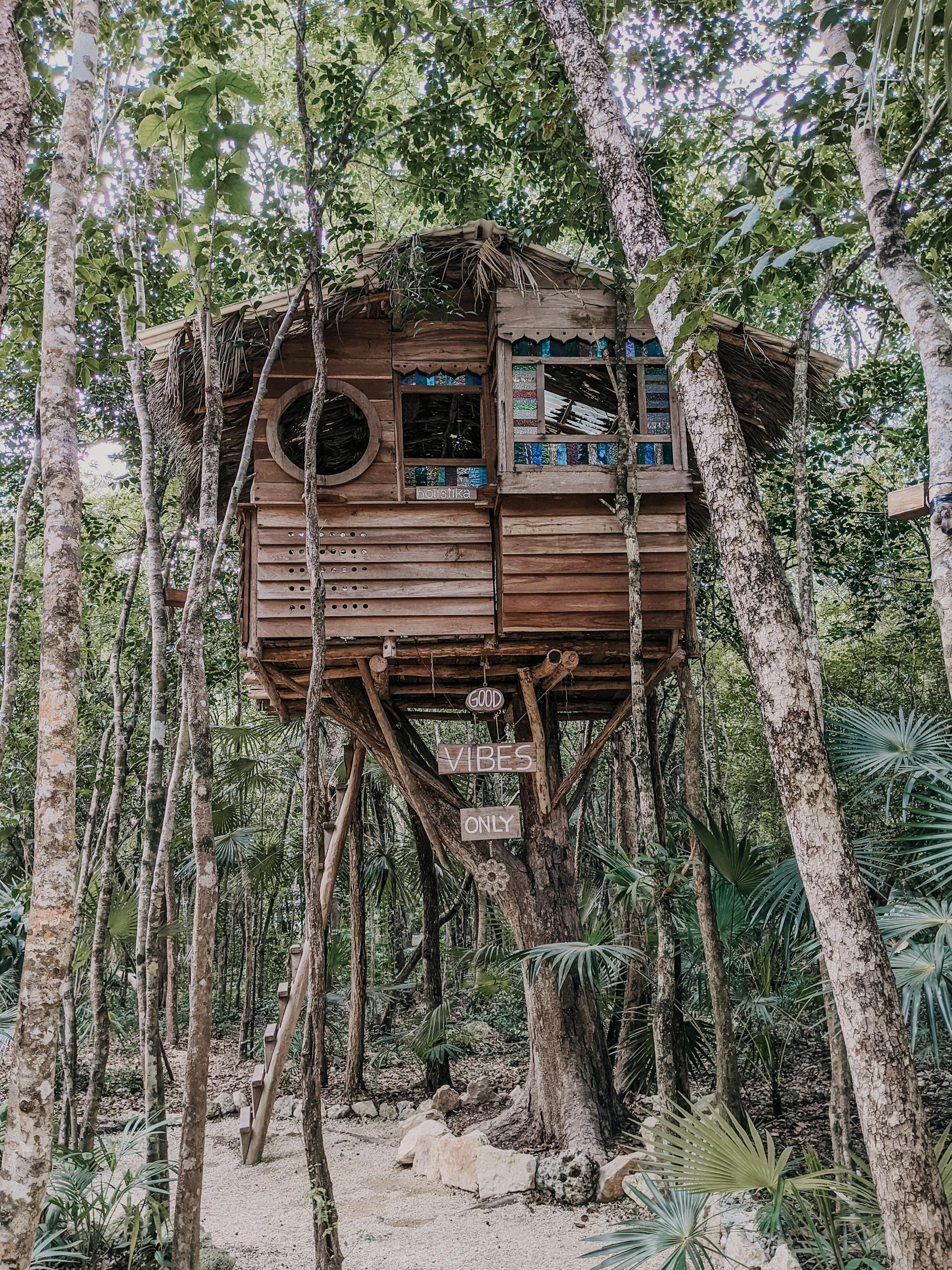 A treehouse | Source: Pexels