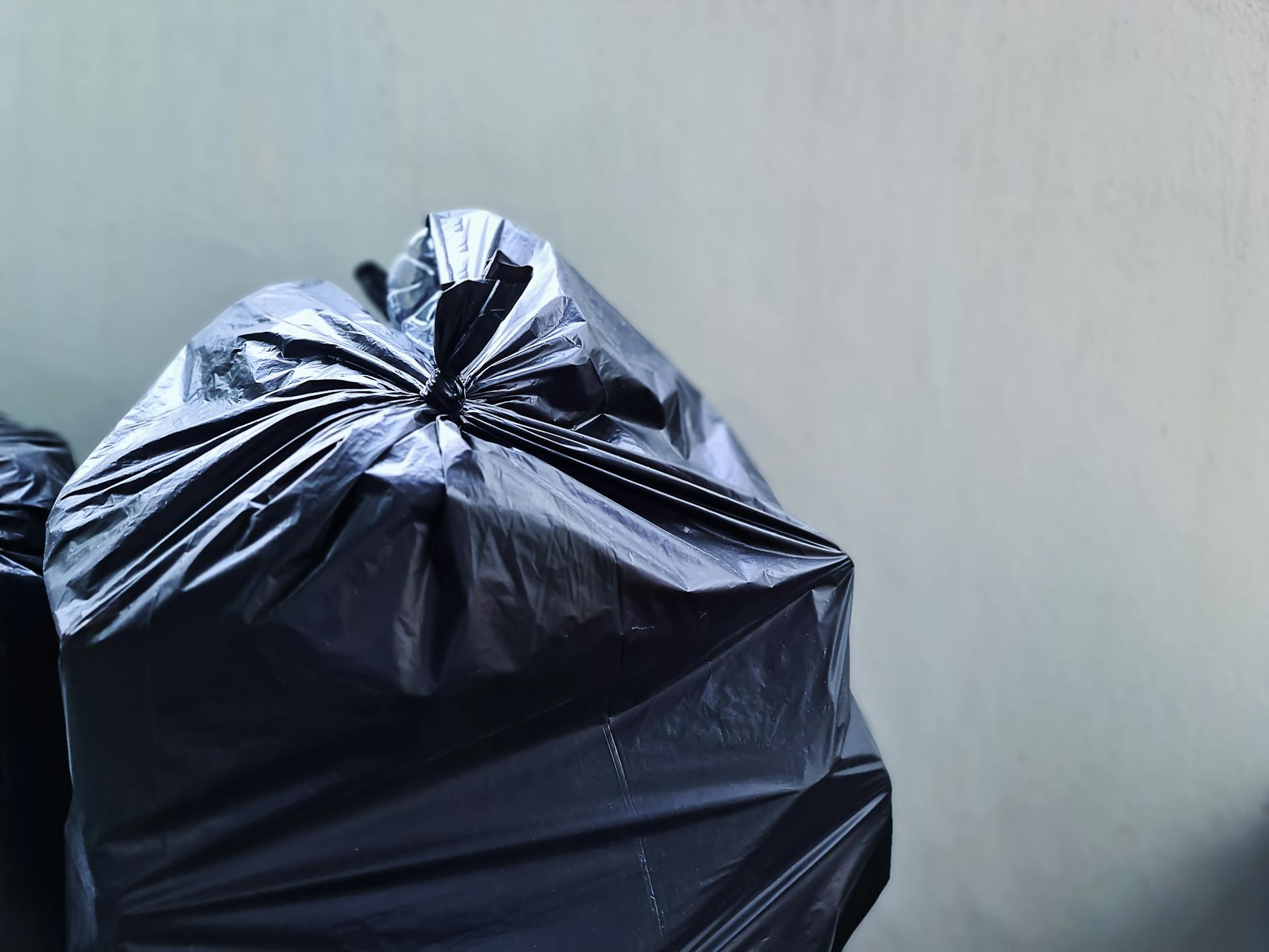 A garbage bag | Source: Pexels