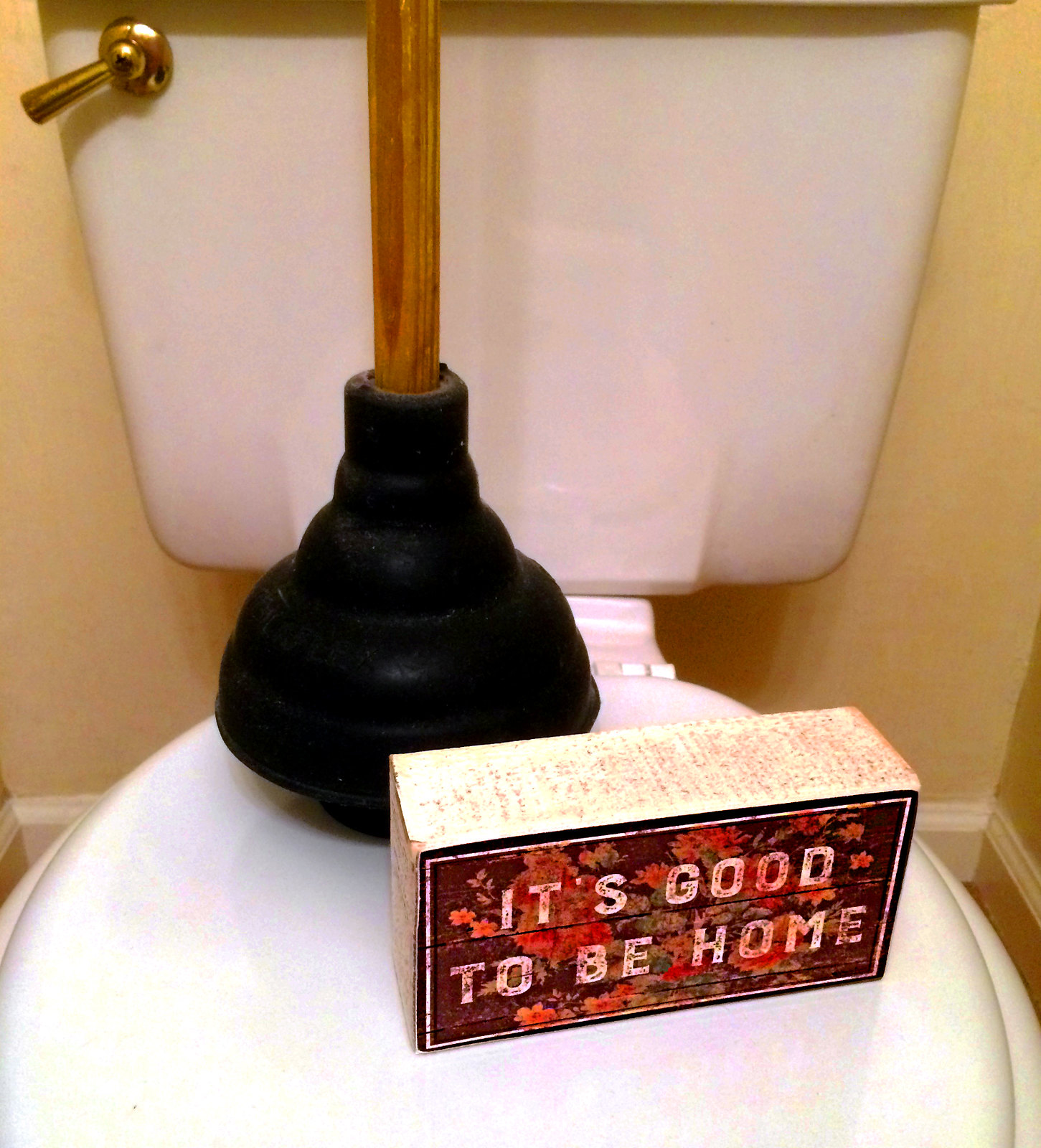 A toilet plunger lying on a toilet seat | Source: Flickr