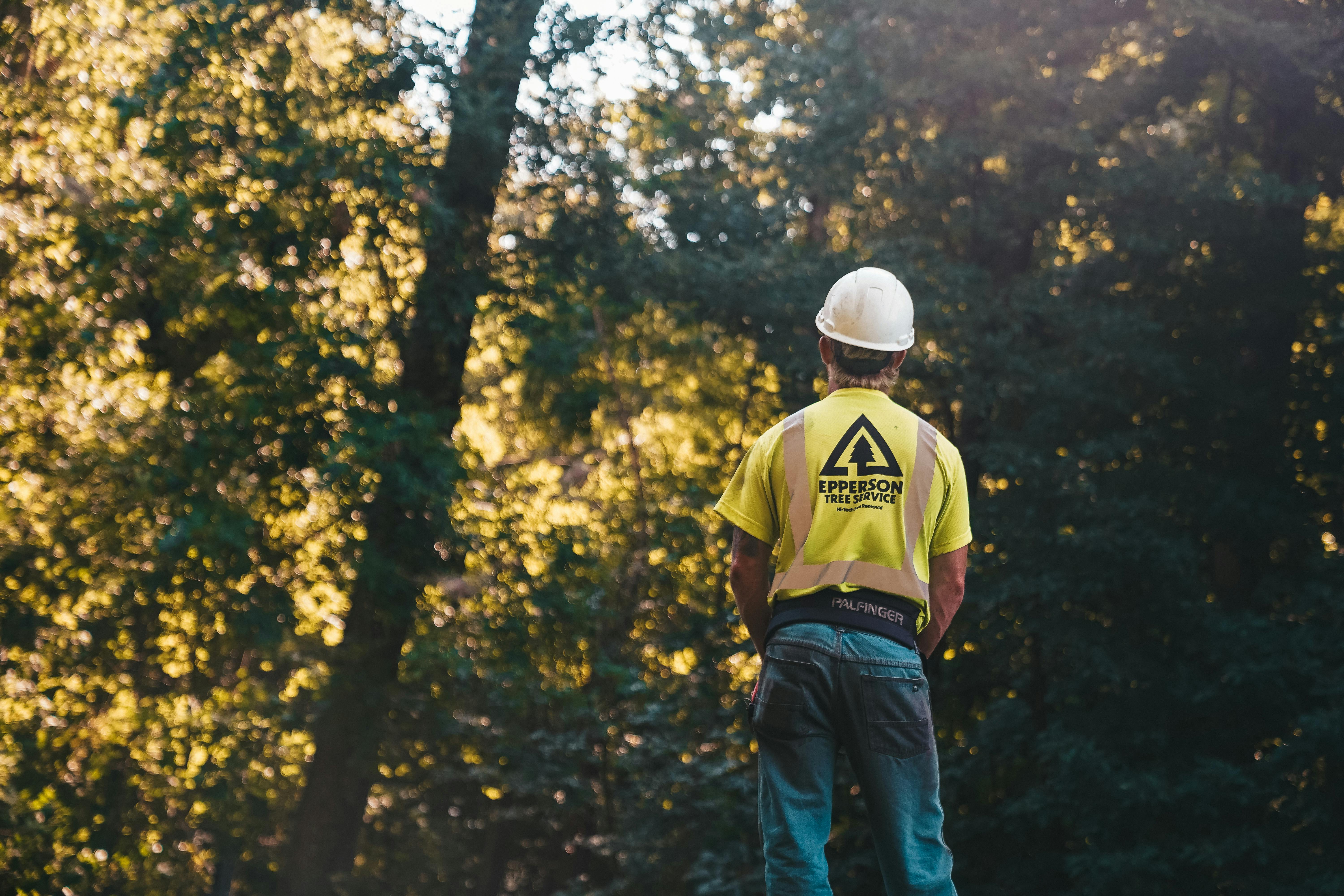 A person standing in a forest | Source: Pexels