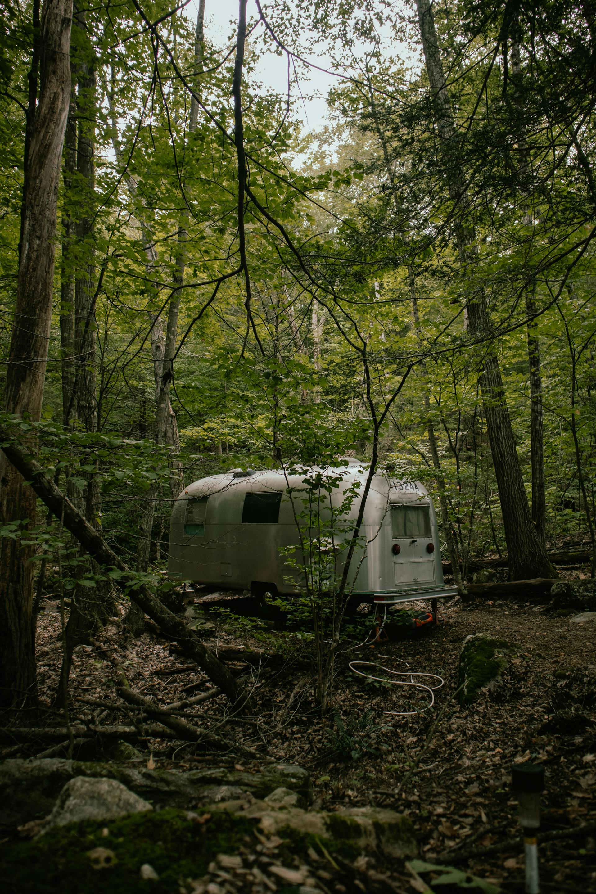 A trailer in a forest | Source: Pexels