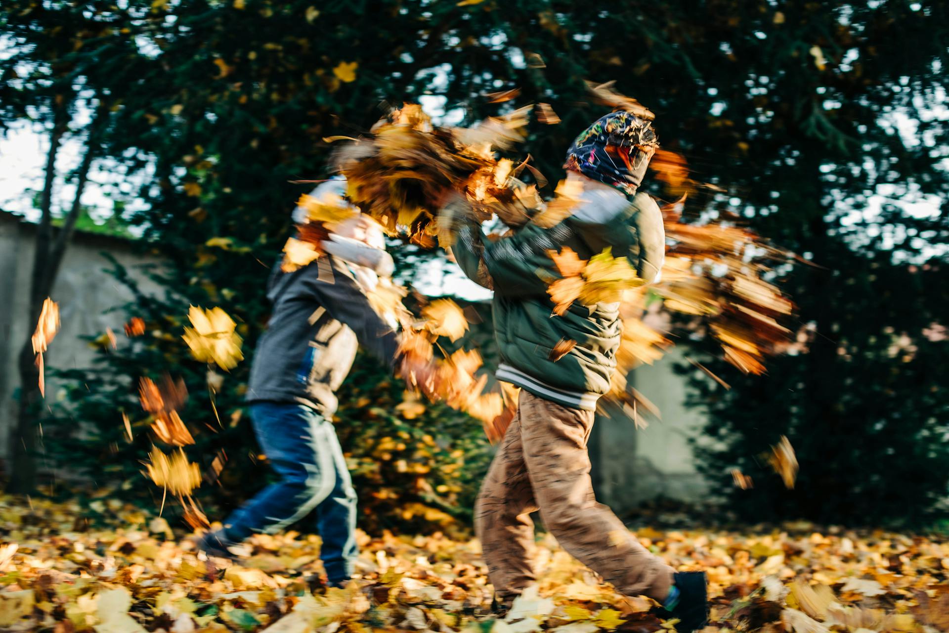 Kids playing in a park | Source: Pexels
