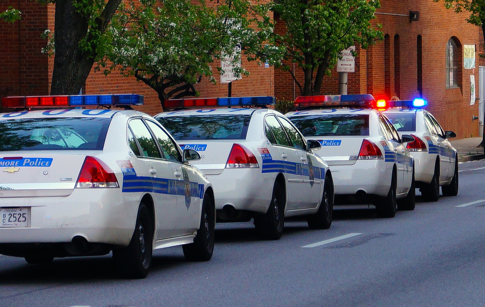 A row of police cars | Source: Jobs For Felons Hub