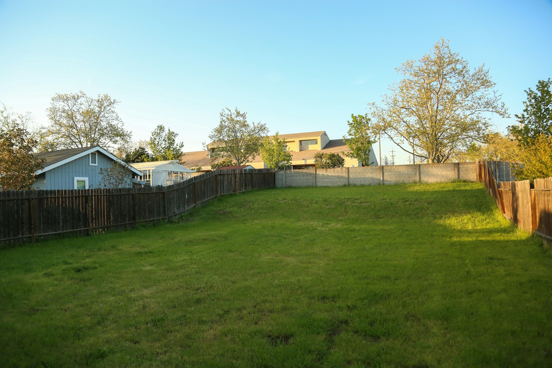 A backyard | Source: Unsplash