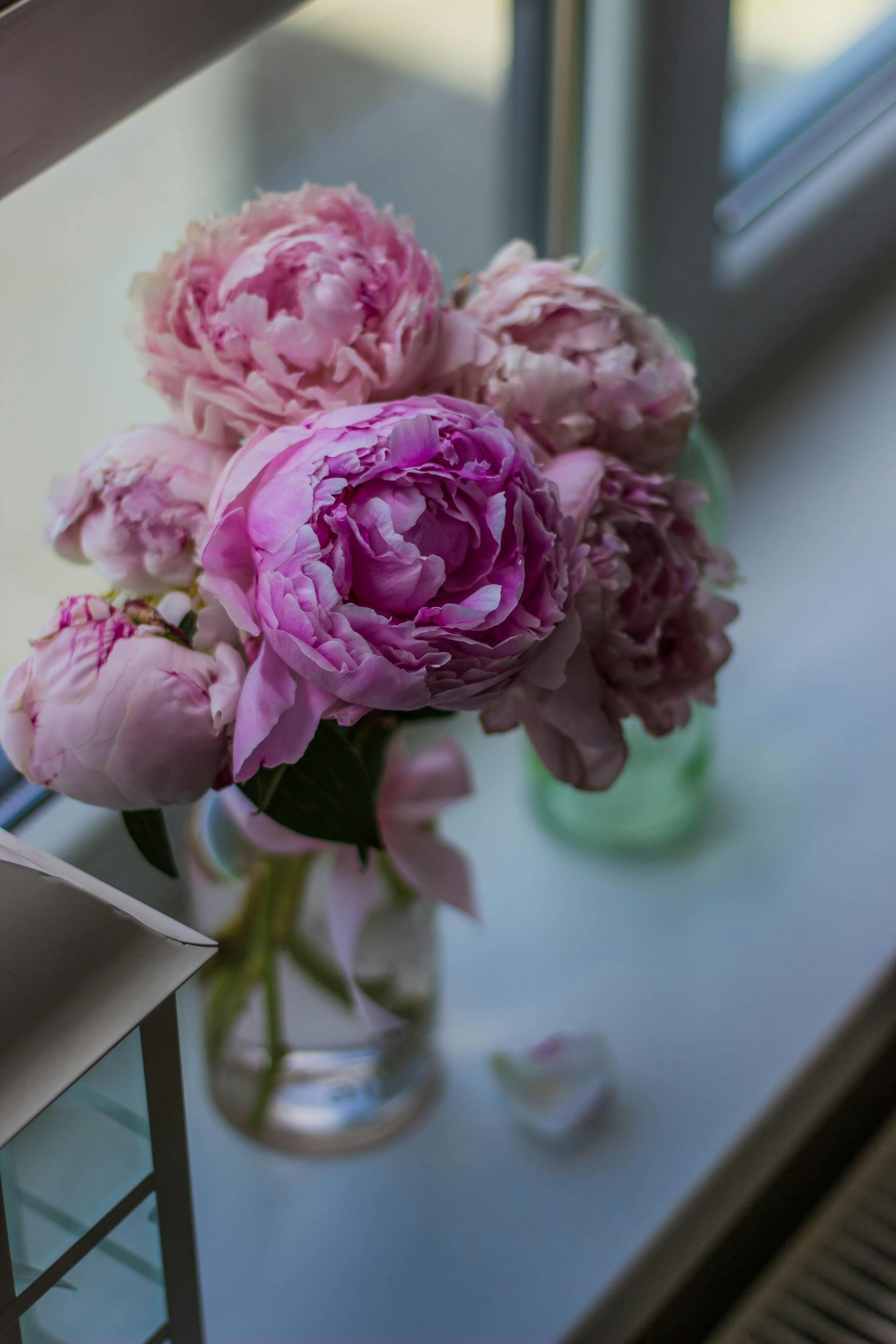 Pink flowers lying in a vase near a window | Source: Pexels