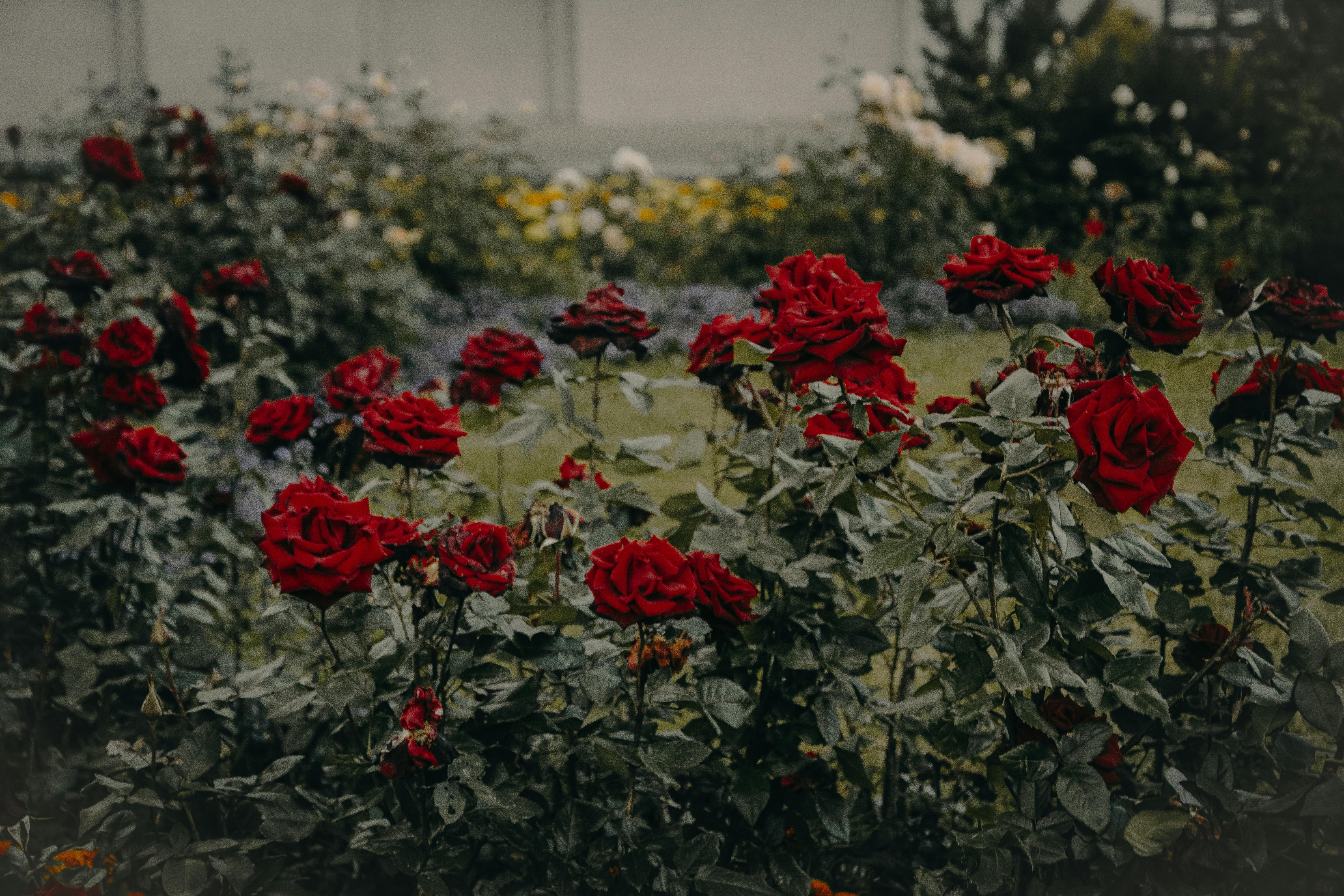 For illustration purposes only. | Source: Pexels