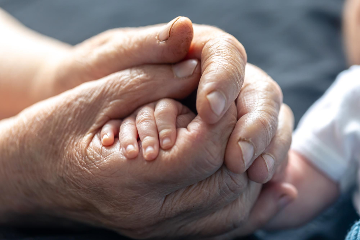 A grandmother holding a child's hand | Source: Freepik