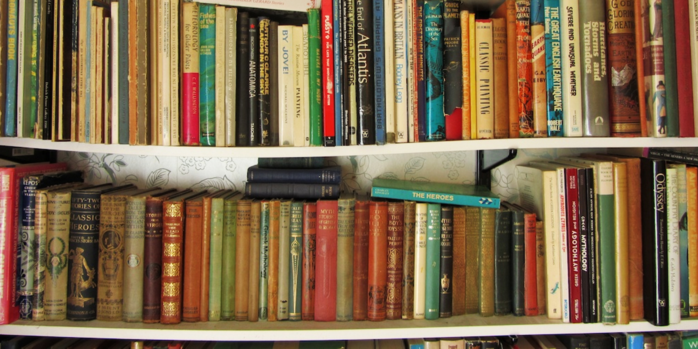 Books on a bookshelf | Source: Flickr