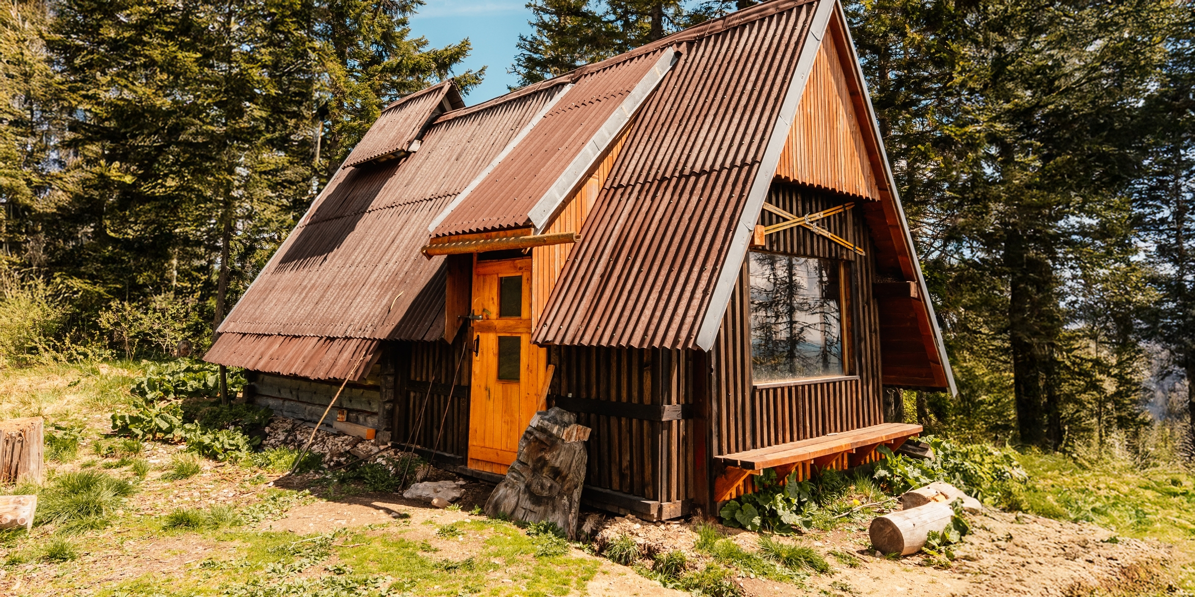 A rustic cabin tucked in a forest clearing, surrounded by tall pine trees and soft afternoon light | Source: Shutterstock