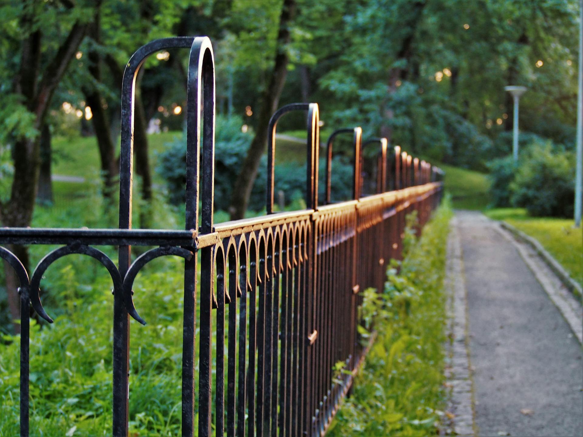 A black fence in a park | Source: Pexels