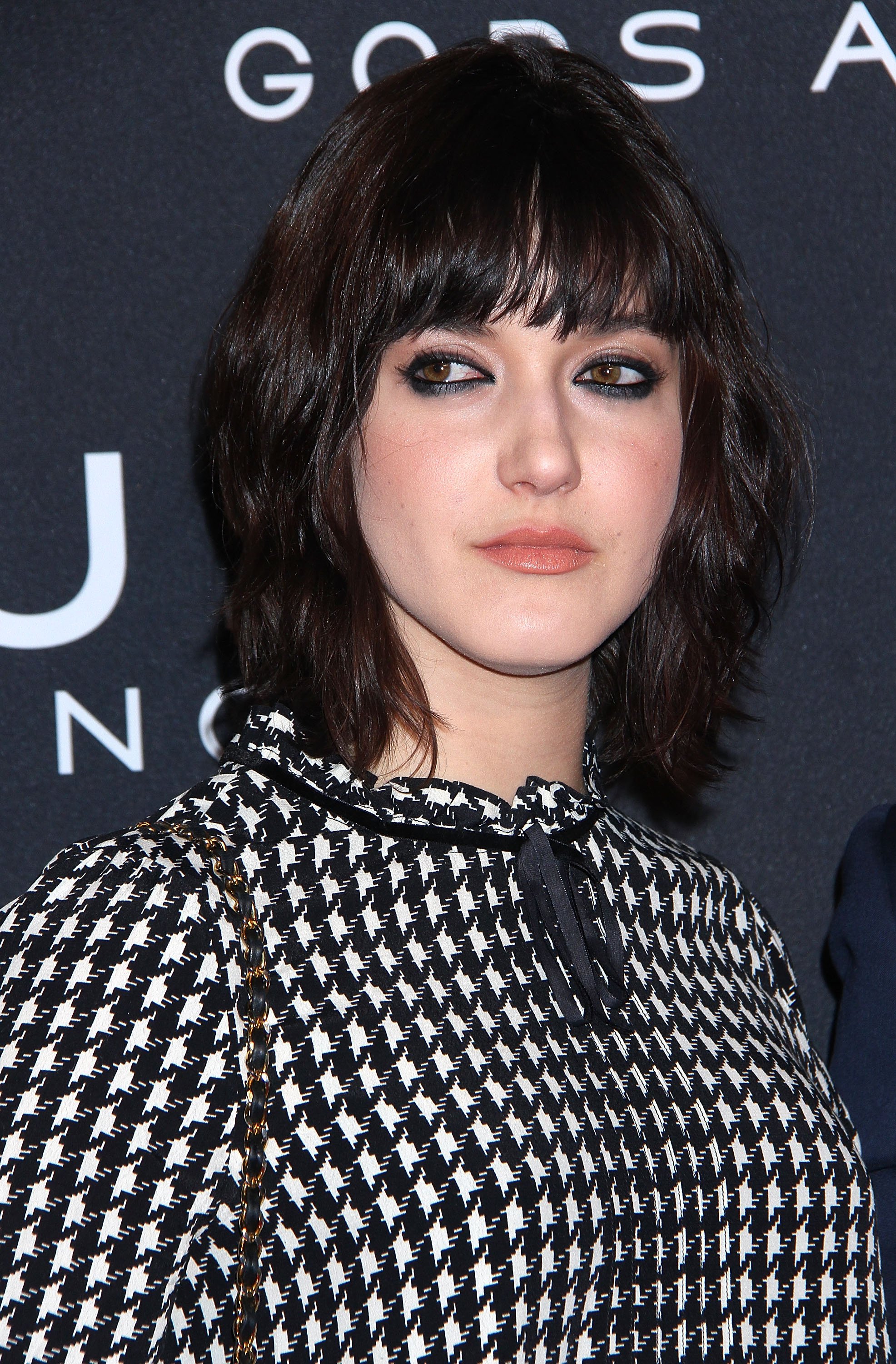Alaia Baldwin at the New York premiere of  "Exodus: Gods And Kings" on December 7, 2014 | Source: Getty Images