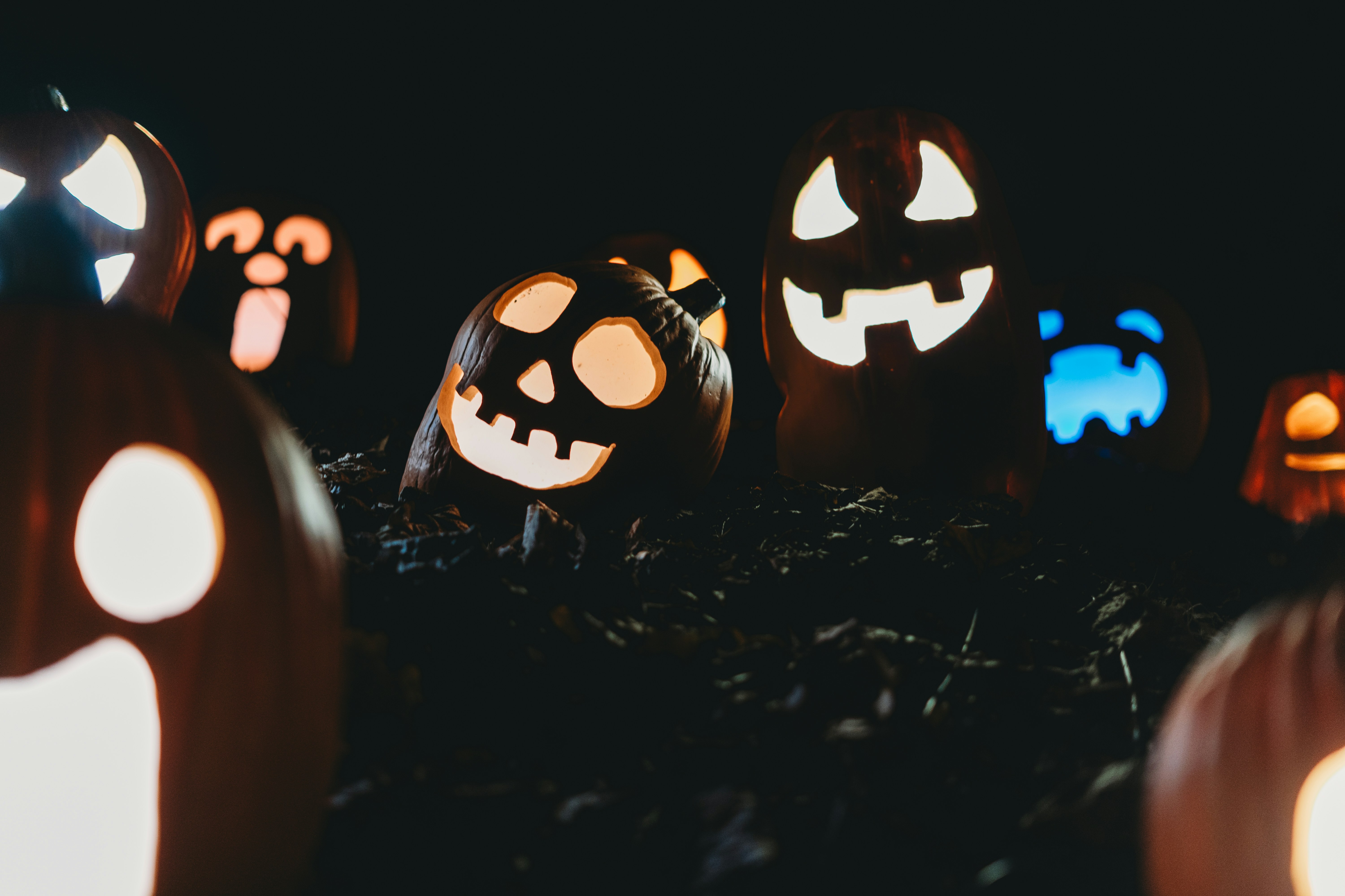 Carved pumpkins with glowing faces | Source: Unsplash
