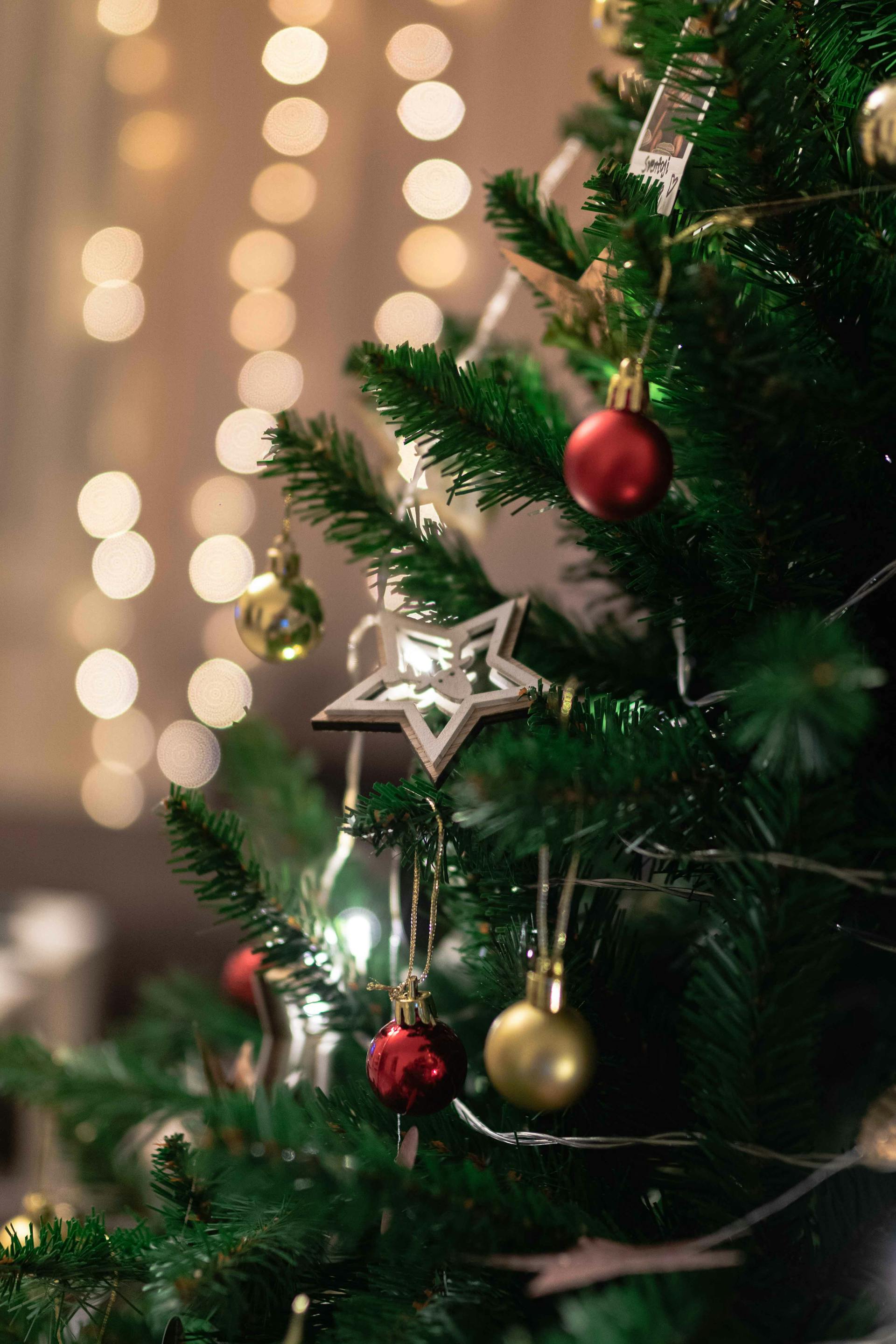 A Christmas tree | Source: Pexels