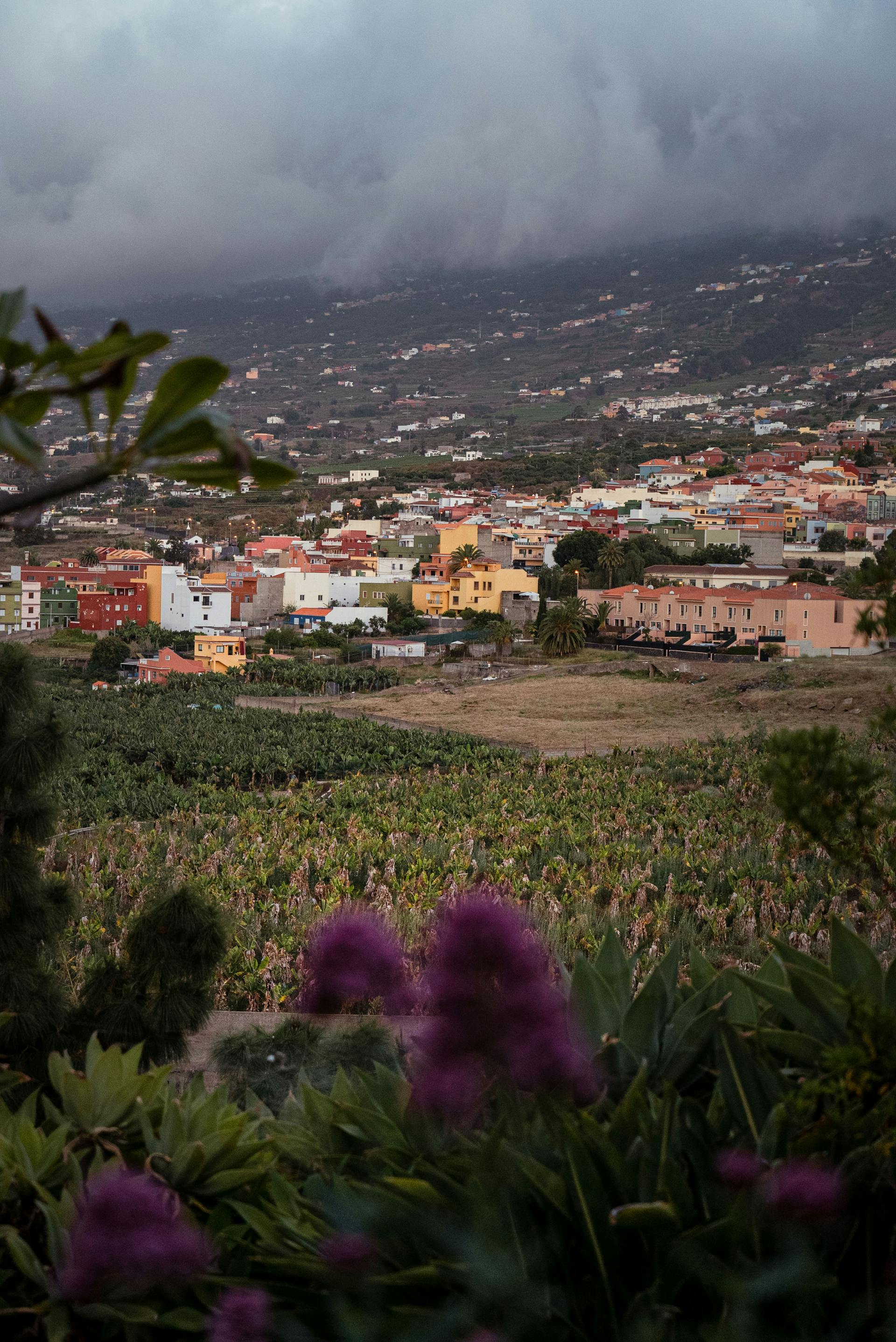 A distant view of a town | Source: Pexels