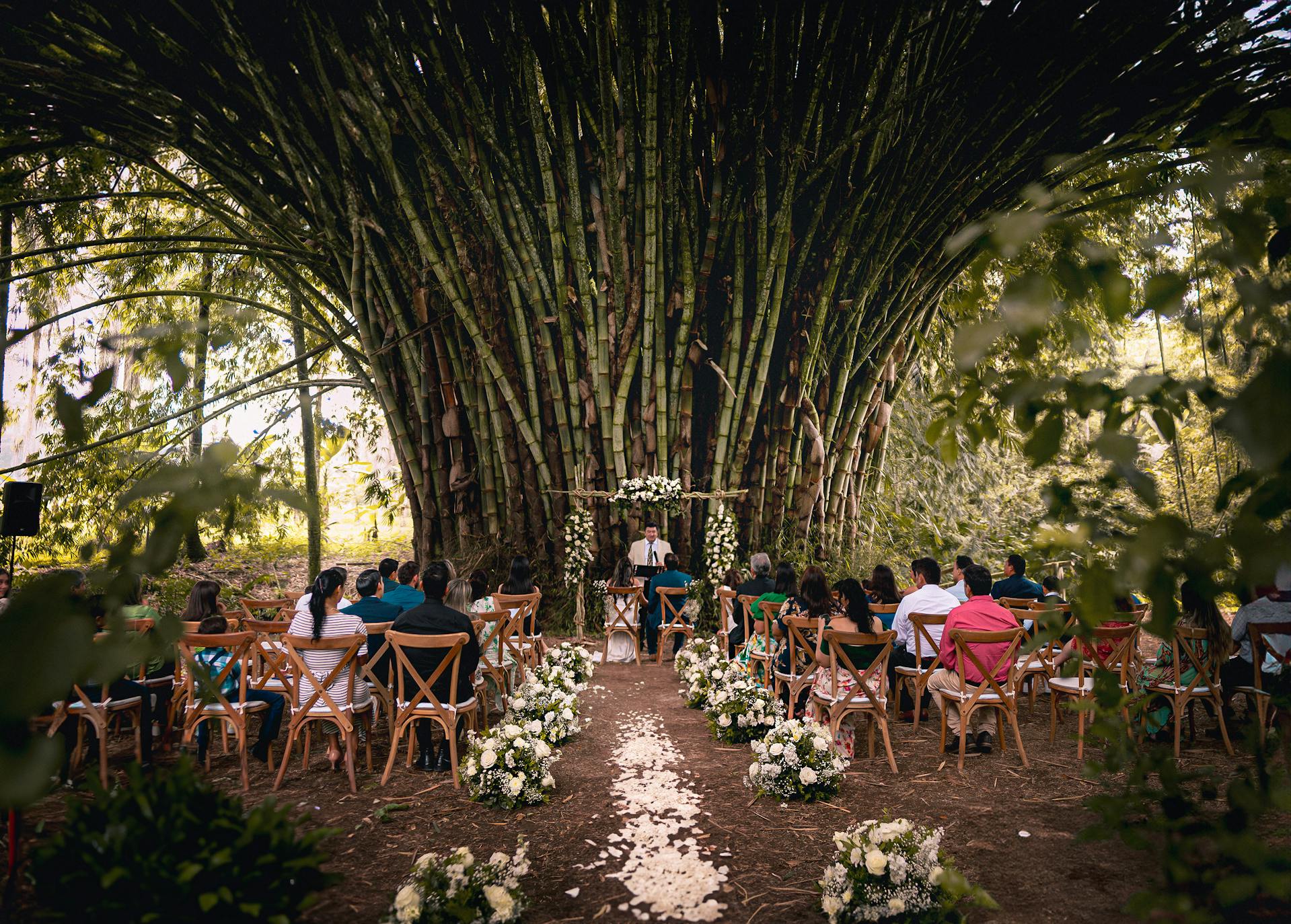 A forest wedding ceremony with a large bamboo grove in the background and a path covered in flower petals | Source: Pexels