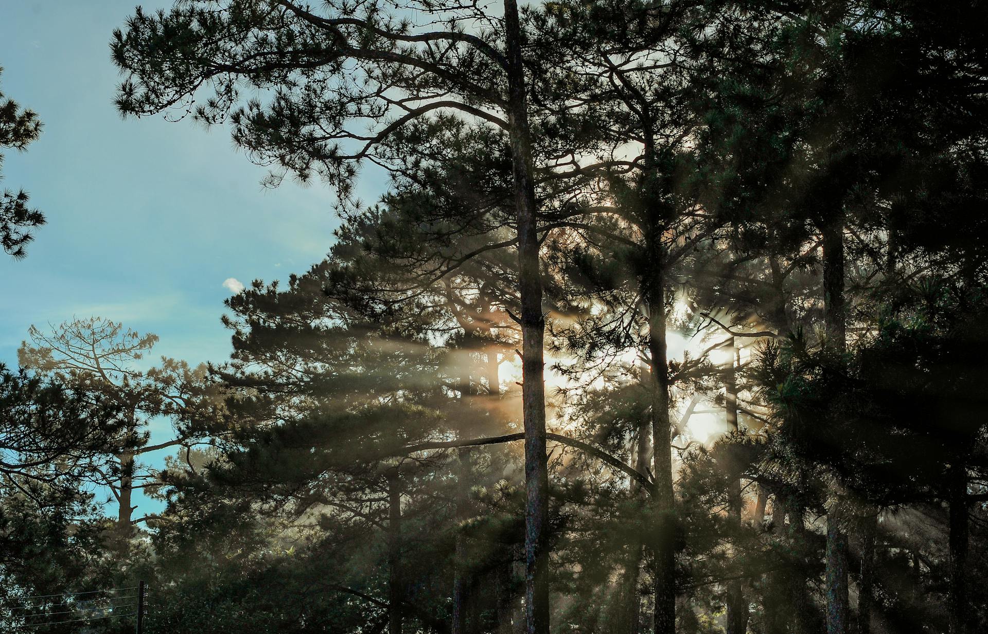 For illustration purposes only | Source: Pexels