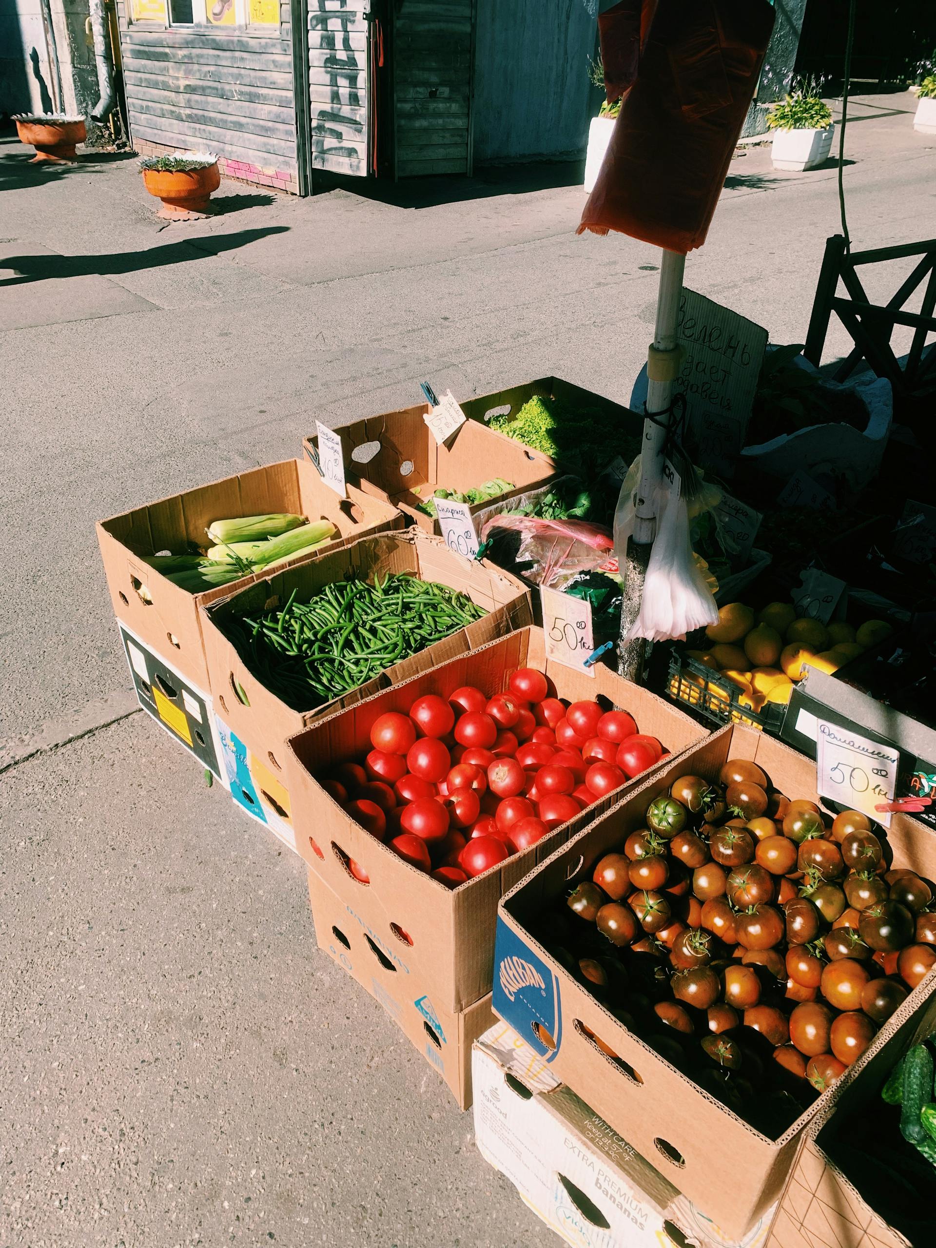 Fresh vegetables in brown cardboard boxes | Source: Pexels