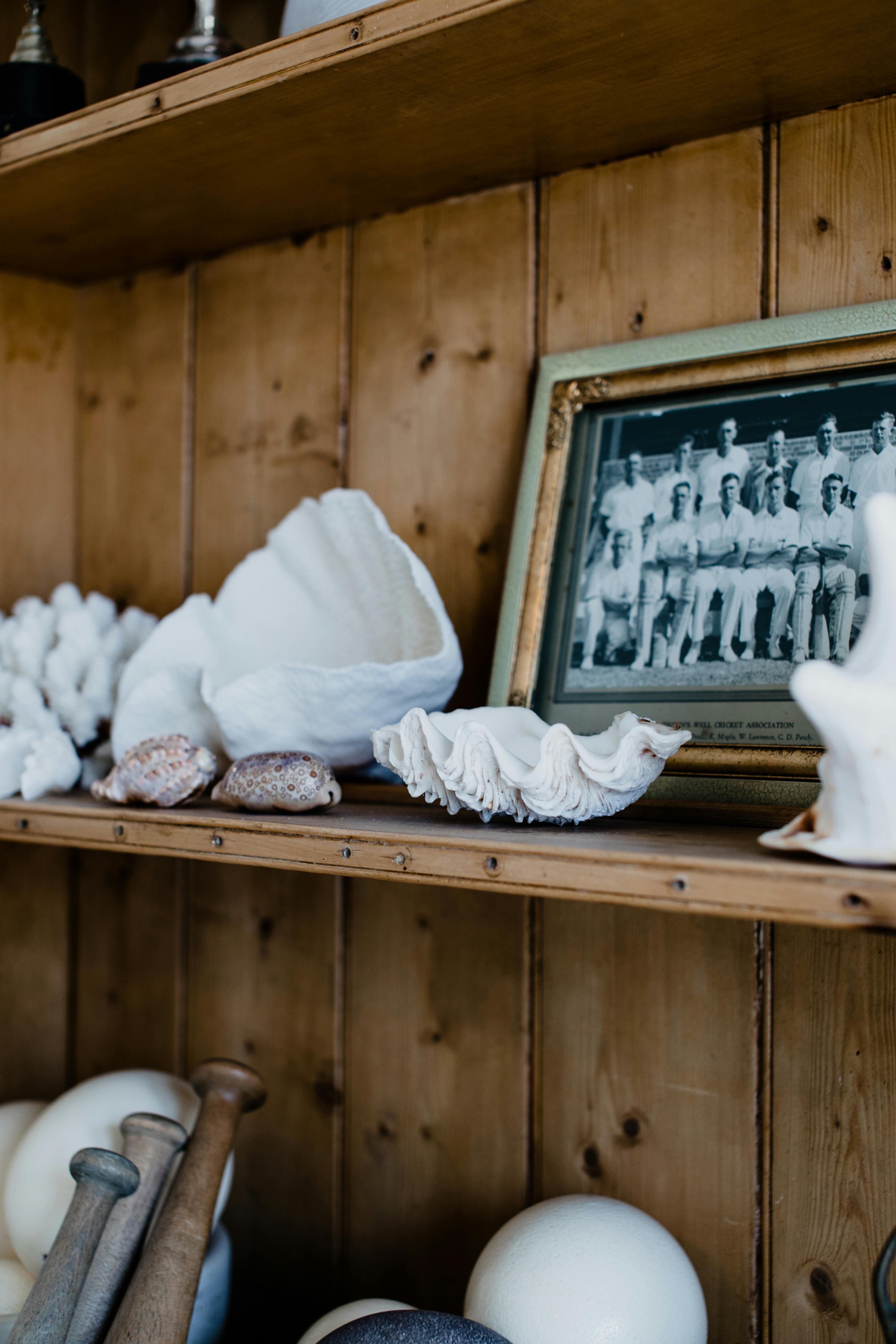 A shelf with seashells and a photo frame | Source: Pexels