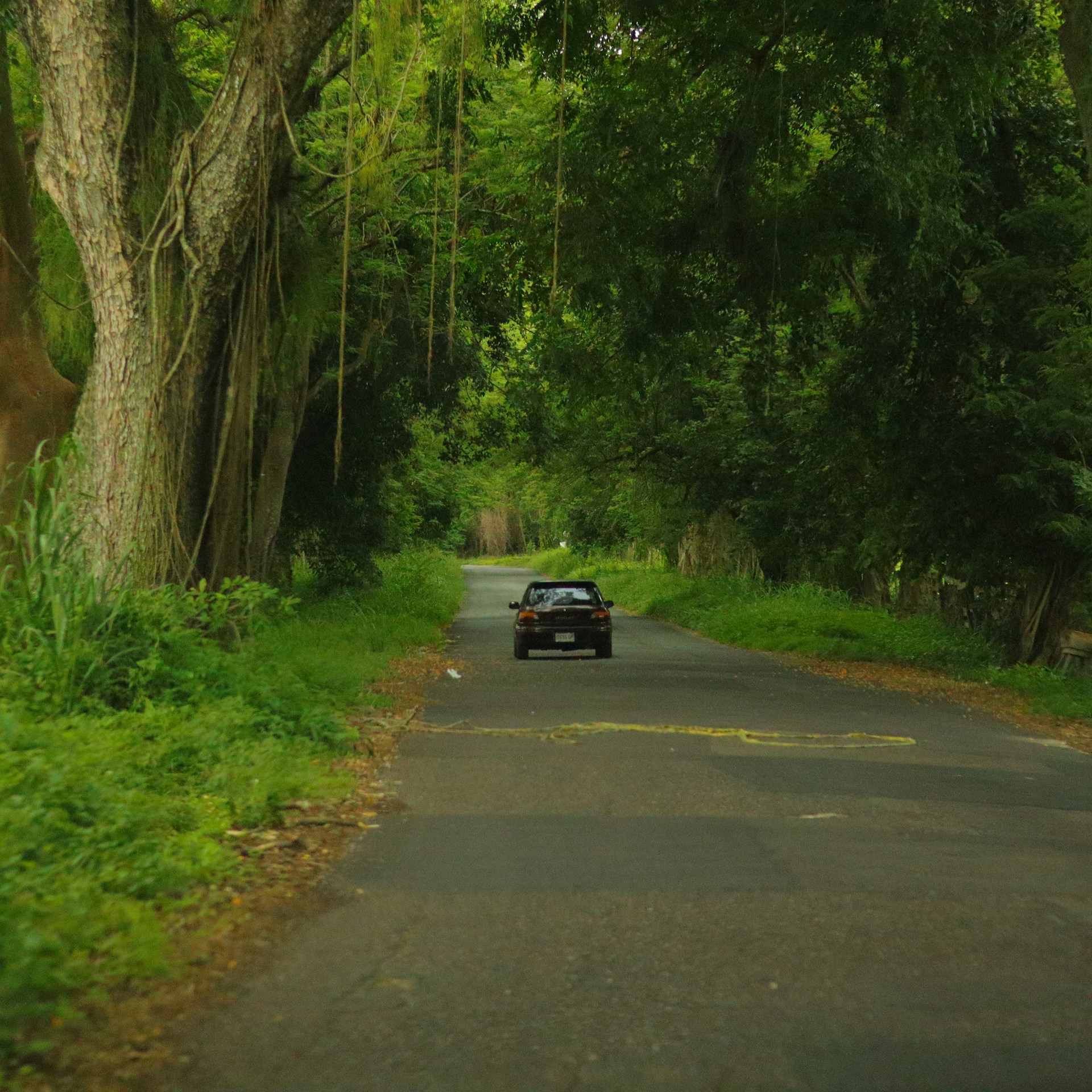 A car on the road | Source: Unsplash