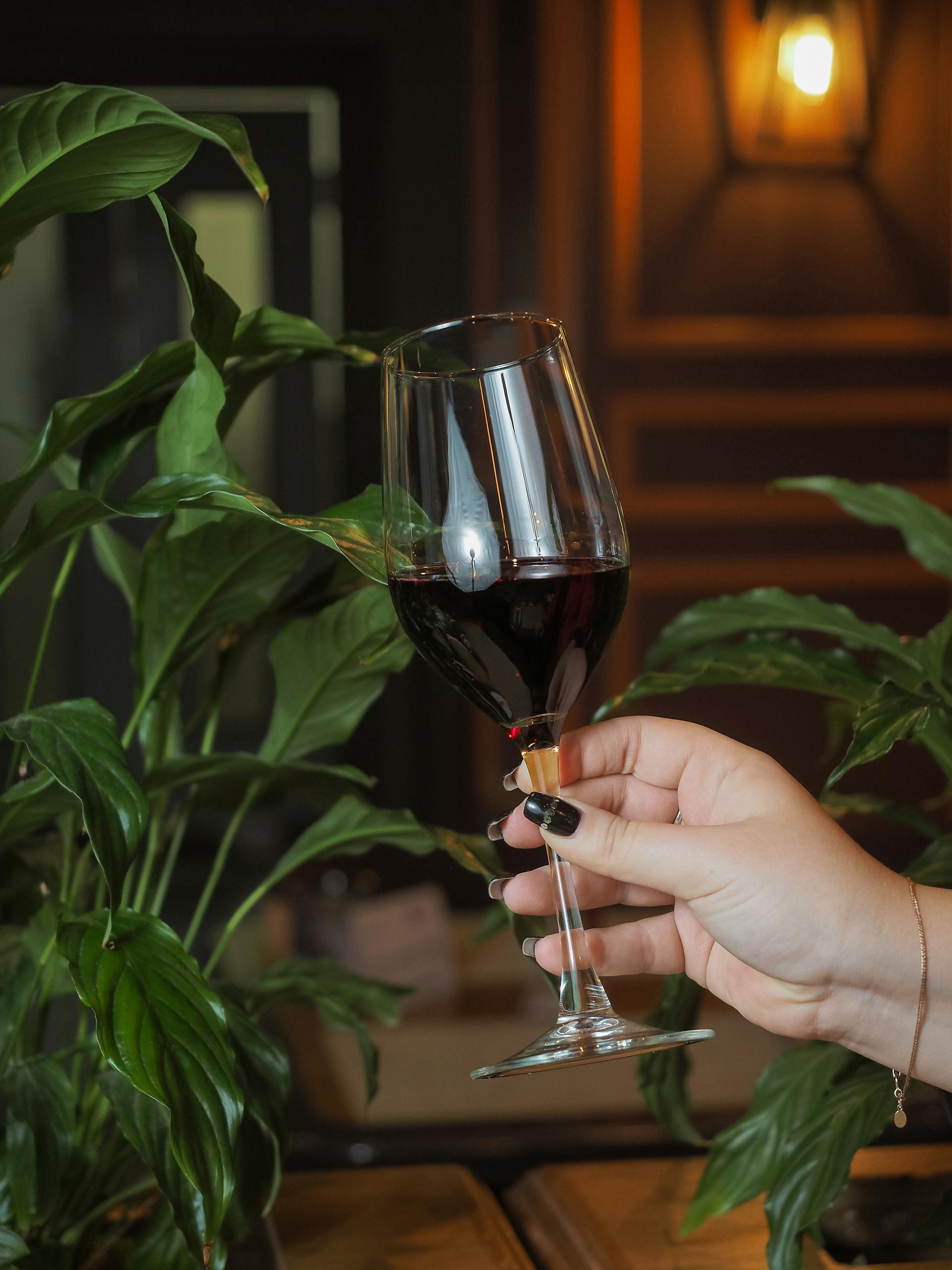 A woman holding a glass of wine | Source: Pexels