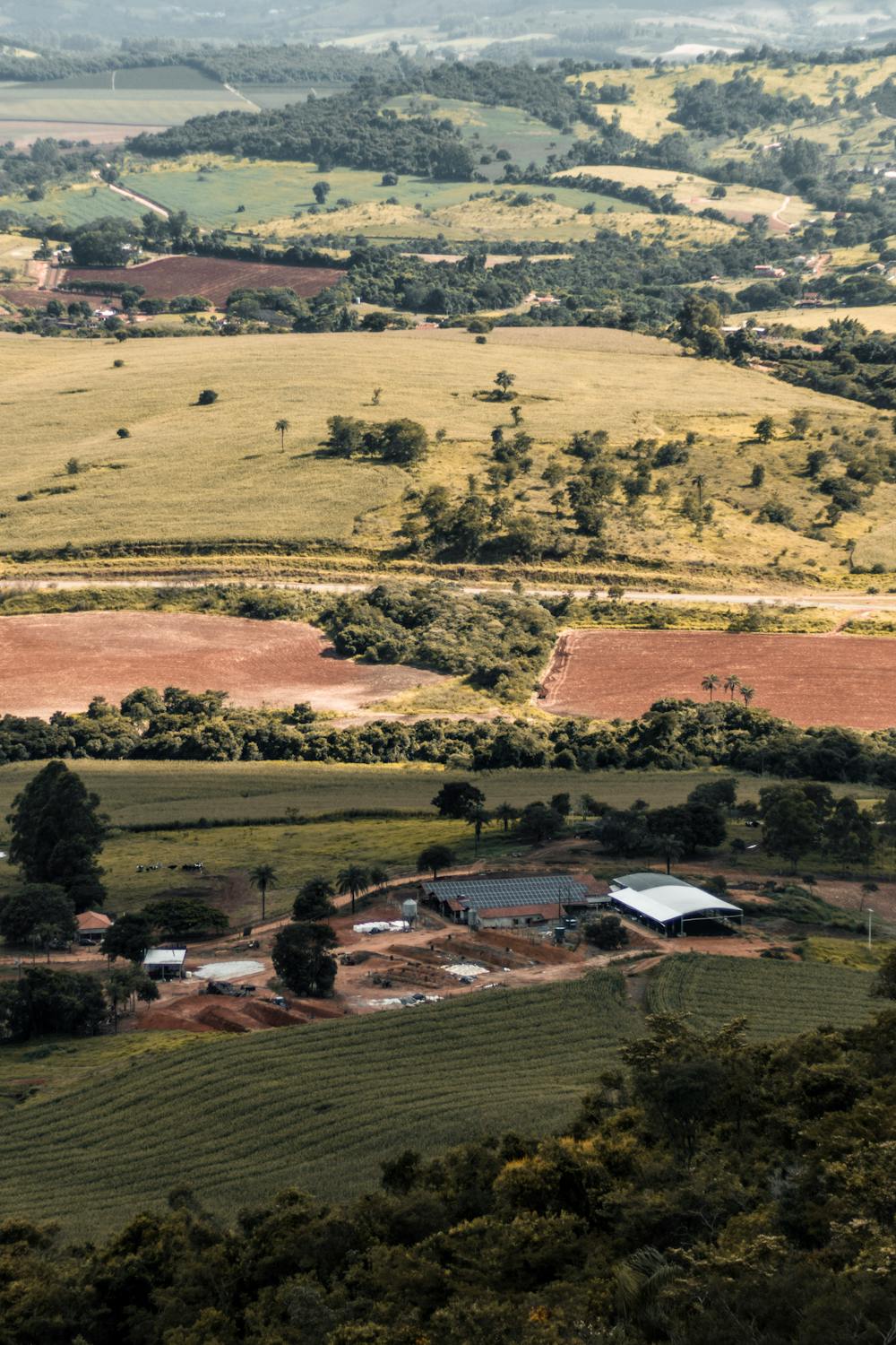 A plot of land | Source: Pexels