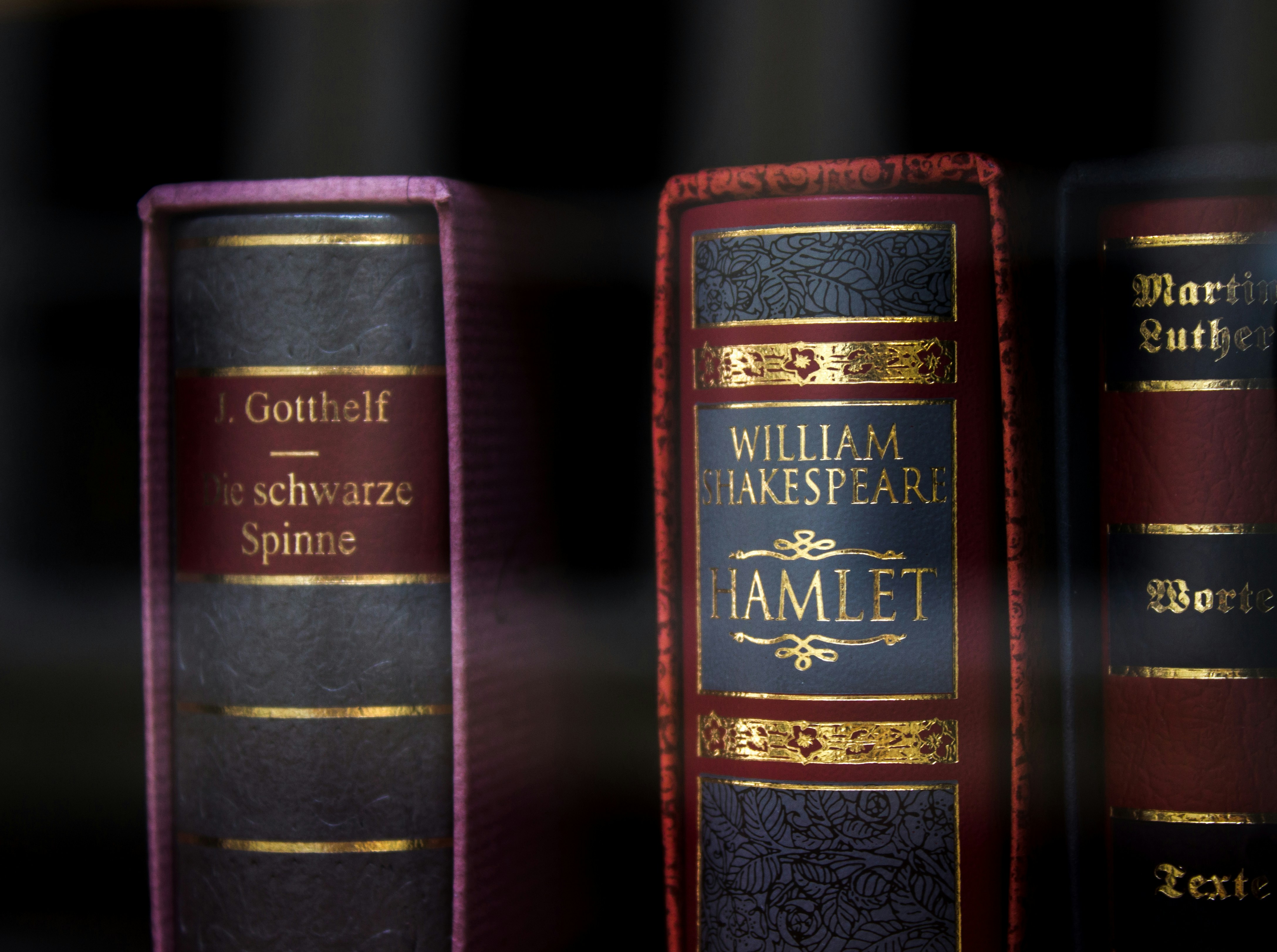 A close up of books on a shelf | Source: Unsplash