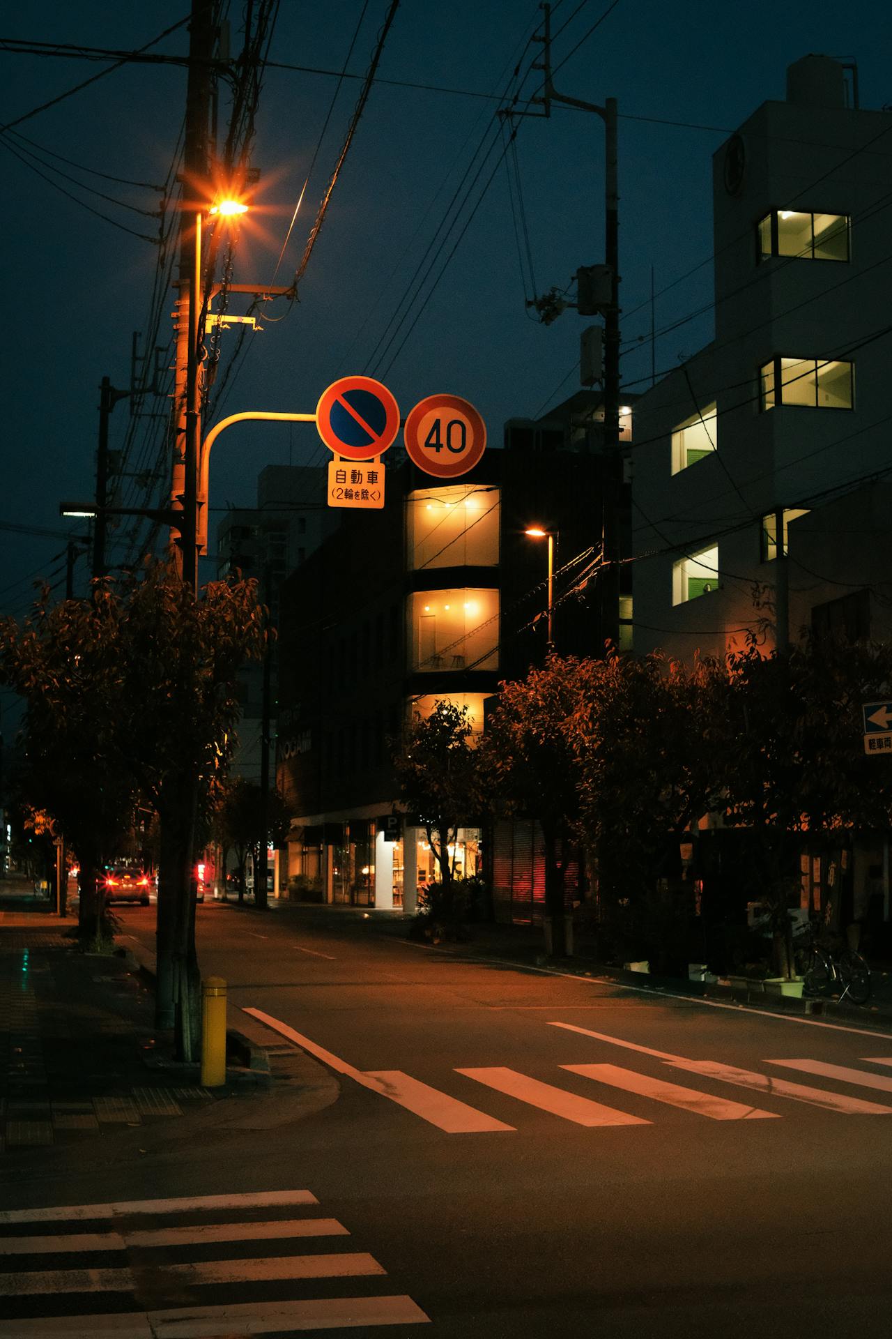 Night shot of a crosswalk | Source: Pexels