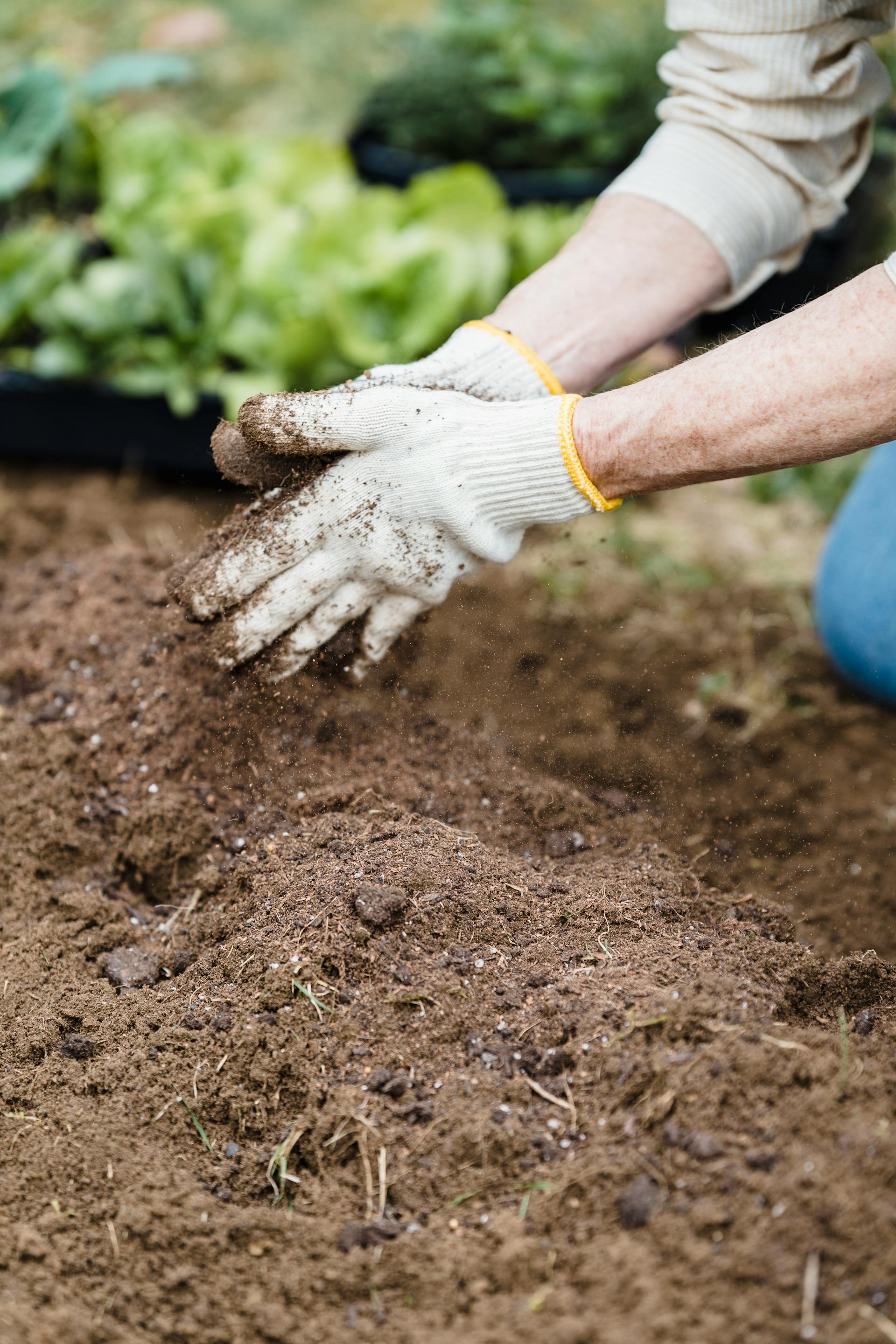 A close-up shot of a person gardening | Source: Pexels