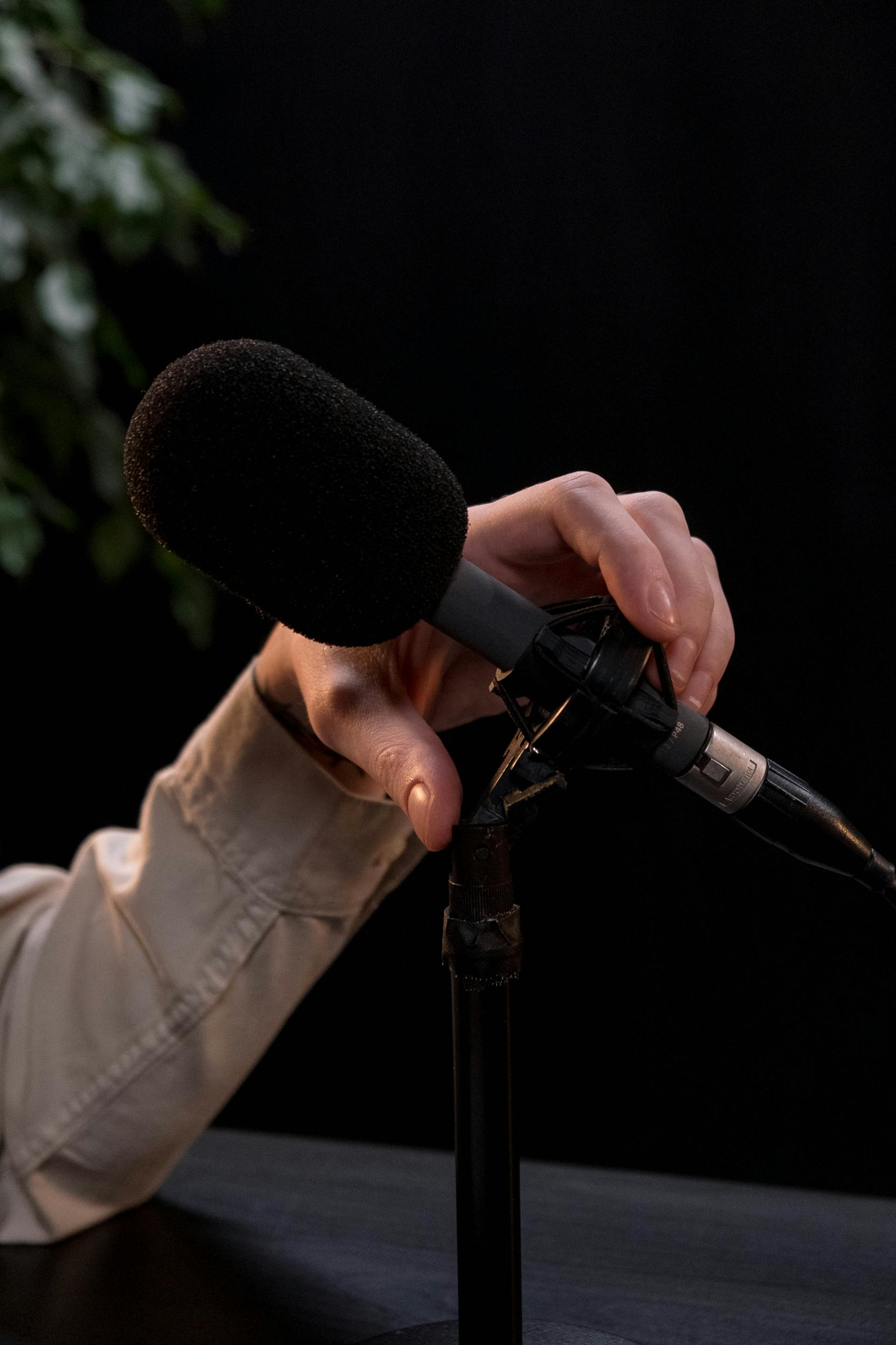 A person holding a mic | Source: Pexels