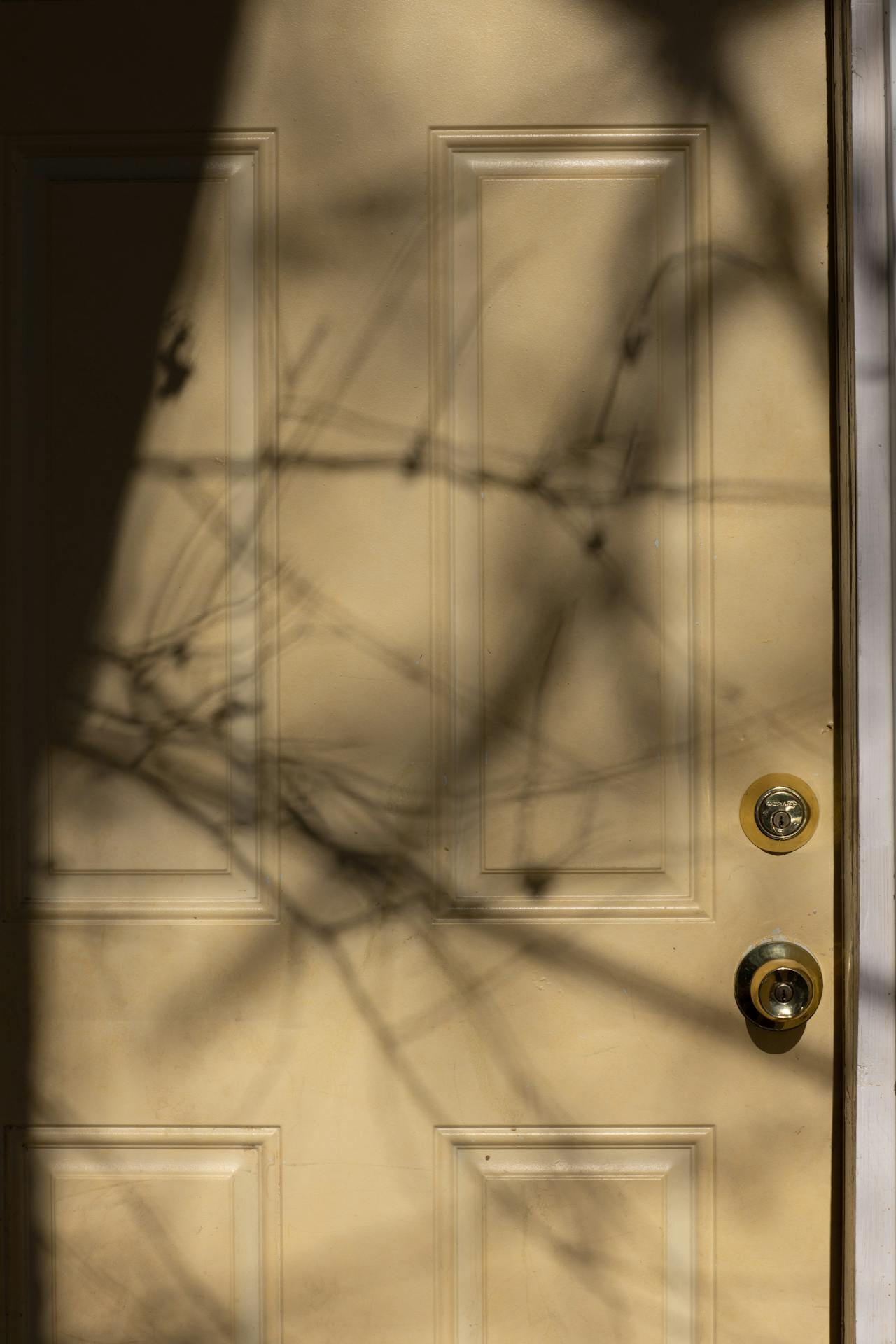 A door | Source: Pexels