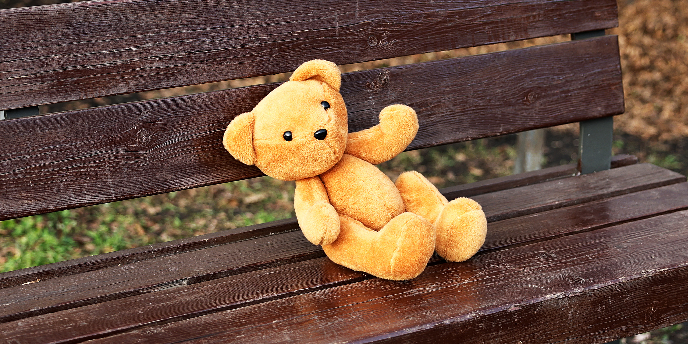 A teddy bear on a bench | Source: Shutterstock