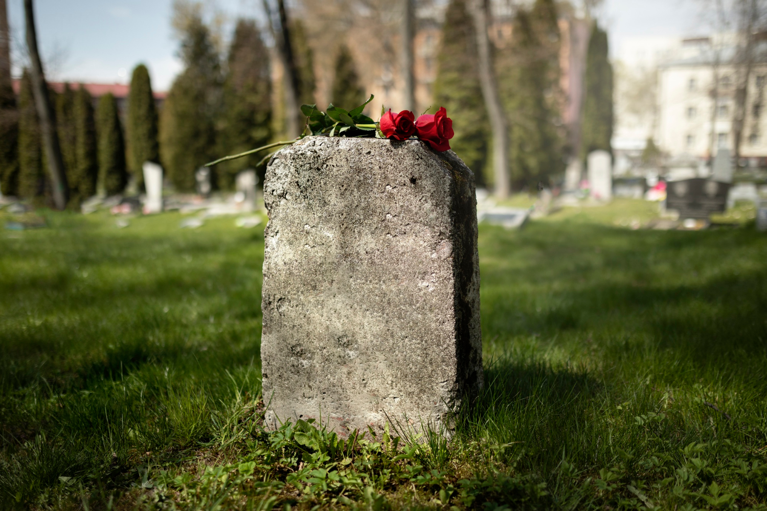 Red roses on a gravestone | Source: Freepik