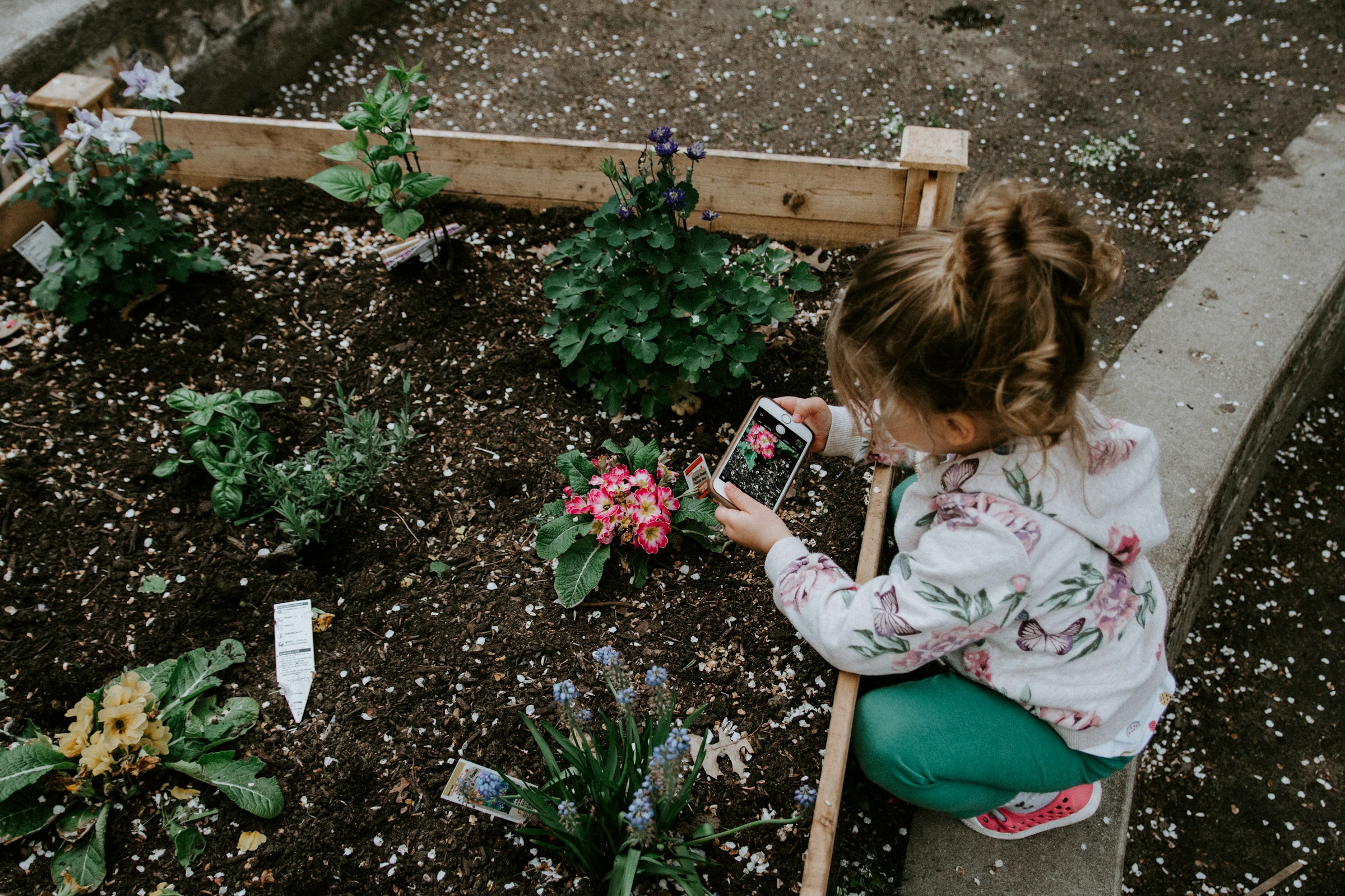 Uma menina em um jardim | Fonte: Unsplash