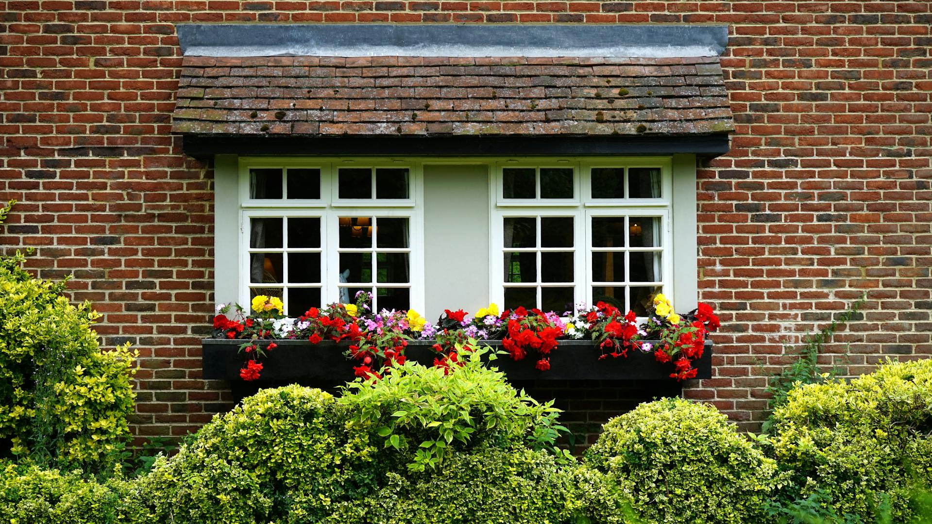 A window | Source: Pexels