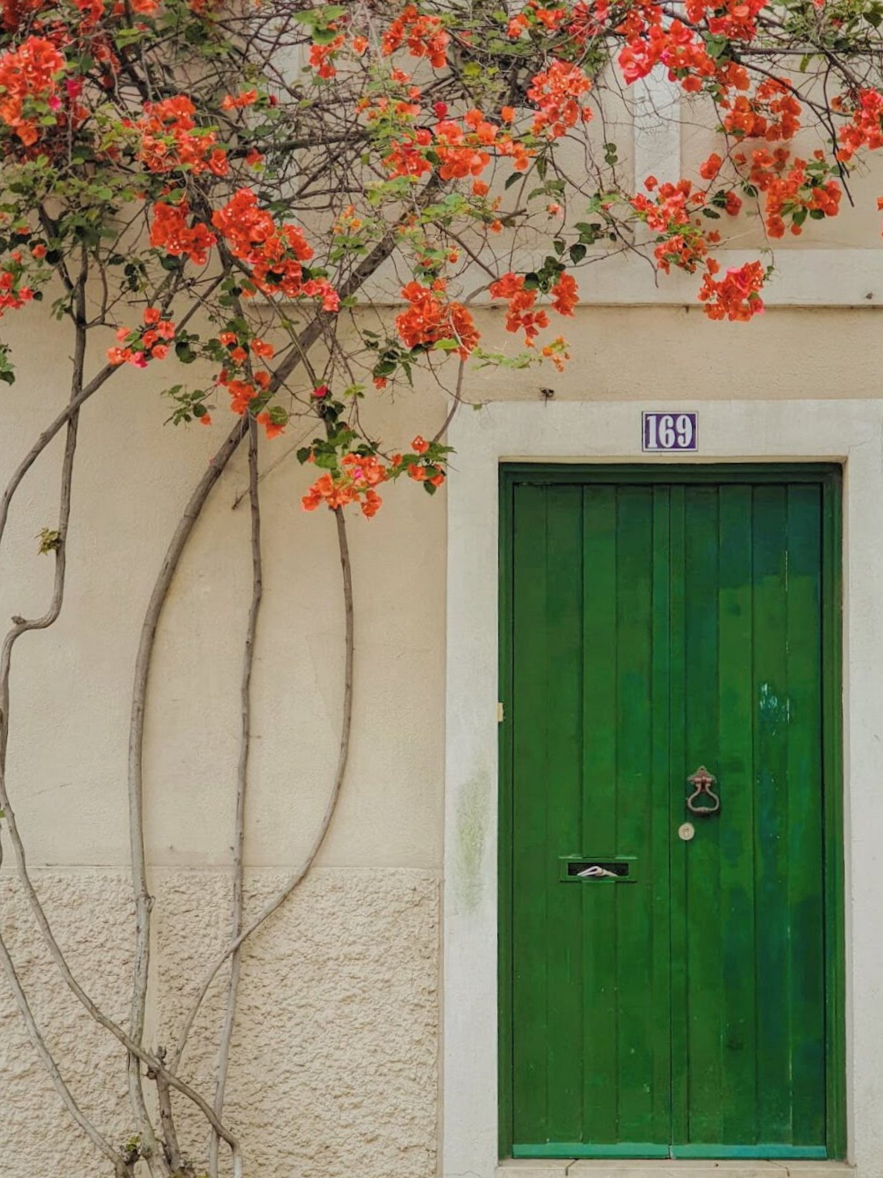 David parked his car in front of the house. | Source: Unsplash