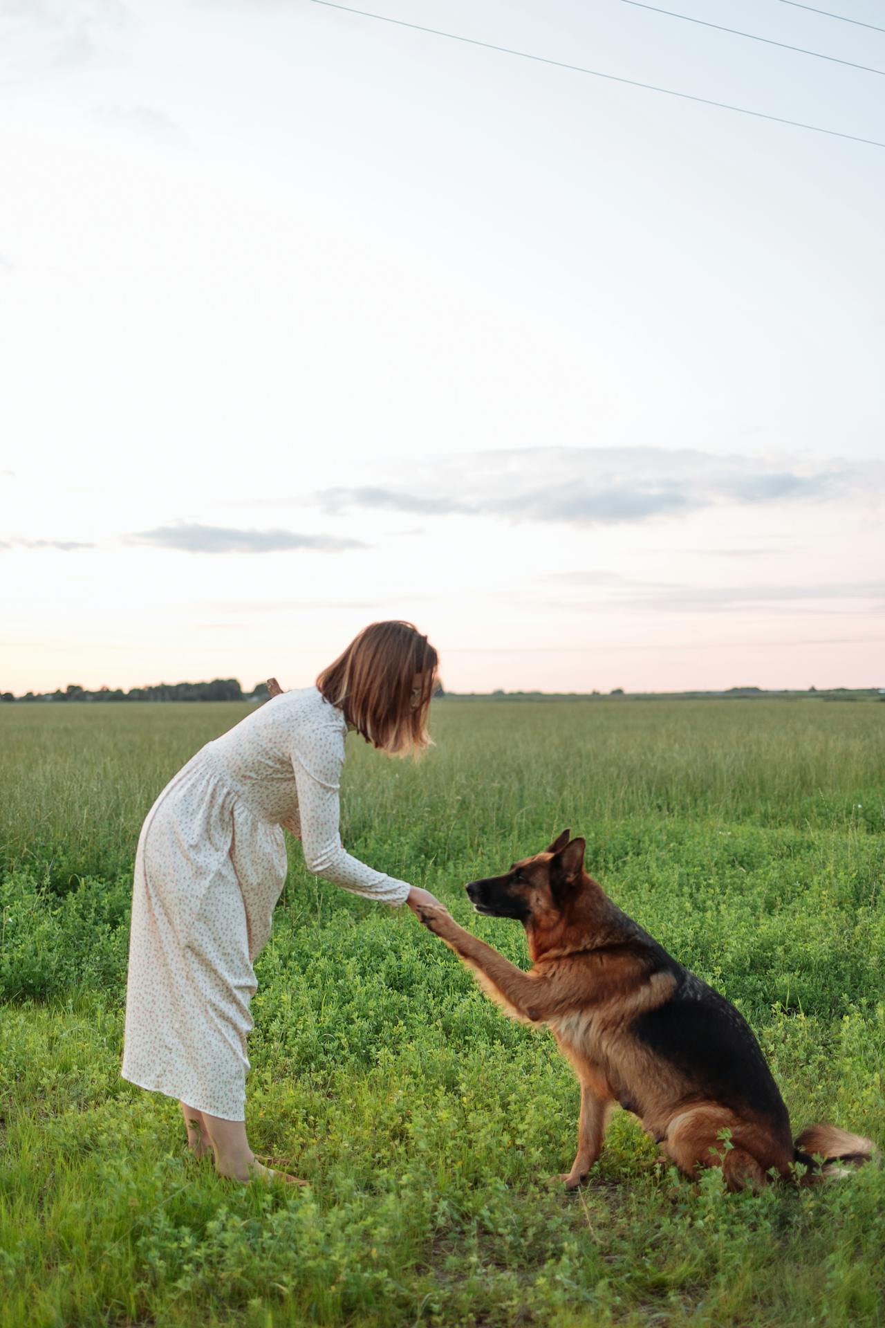 A woman with her adorable pet dog | Source: Pexels